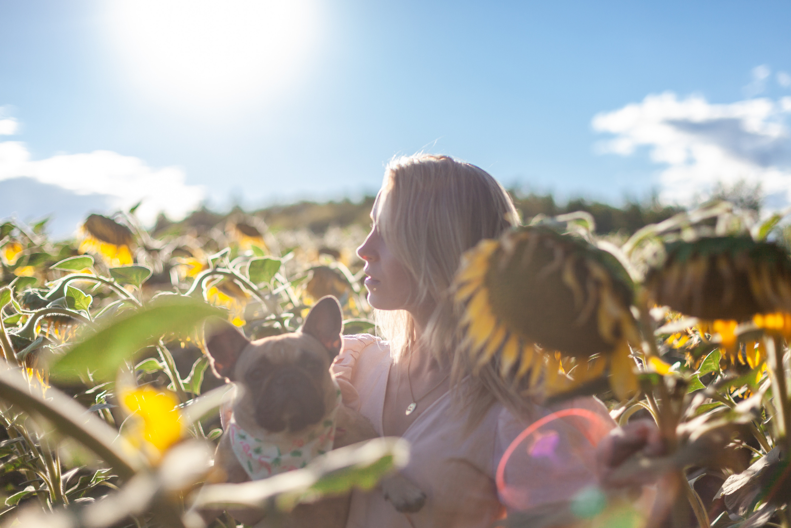 Коломна, стога и подсолнухи. Фотограф-анималист Татьяна Степанова