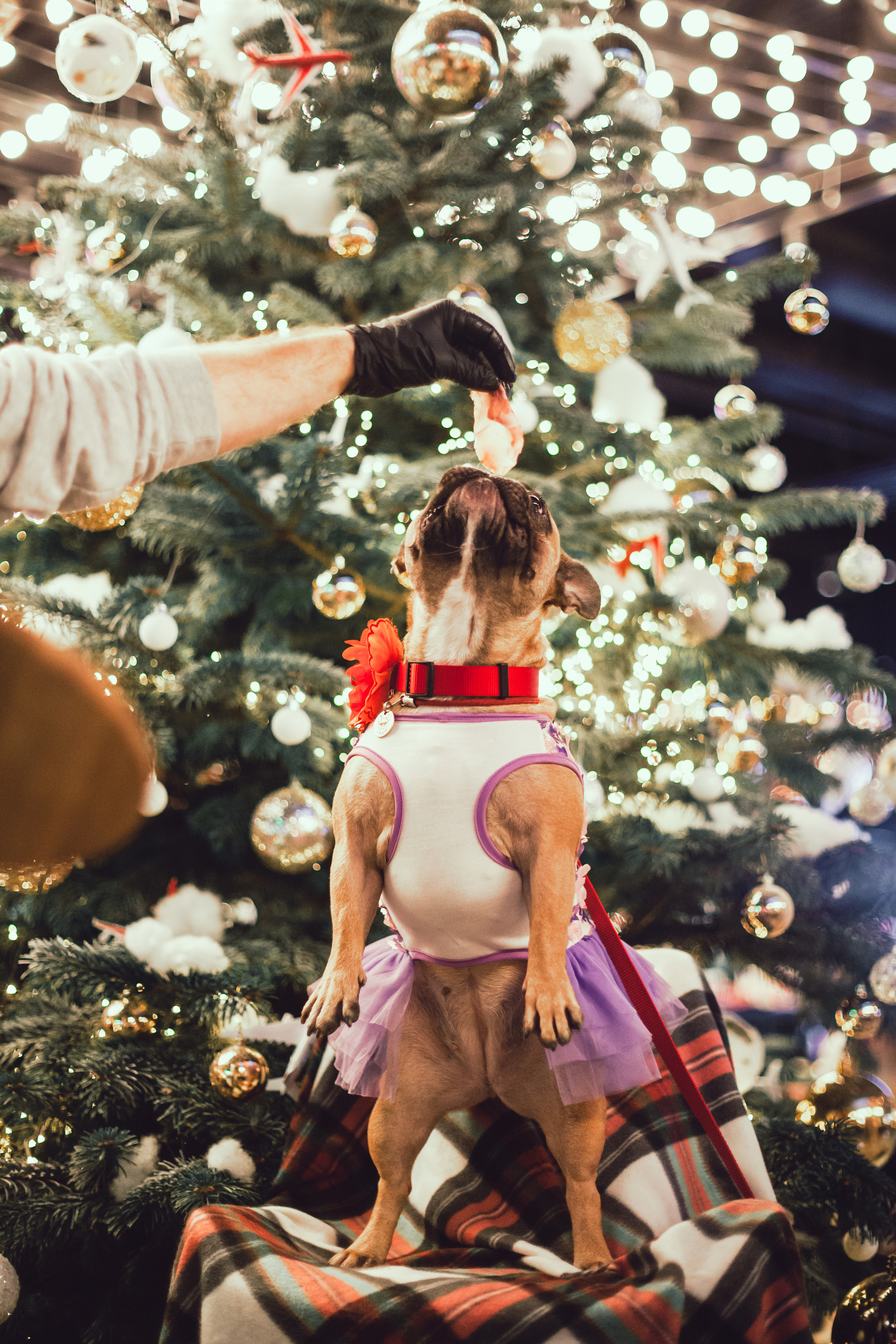 Бульелка 2022. Фотограф-анималист Татьяна Степанова