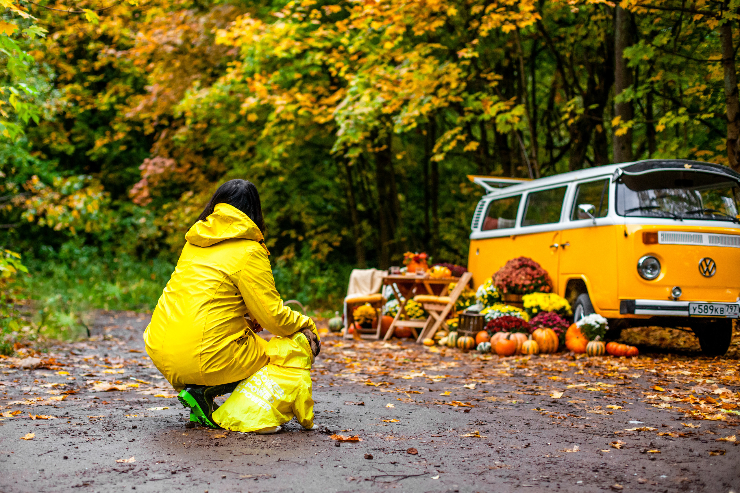 Съемка с ретро автобусом. Фотограф-анималист Татьяна Степанова