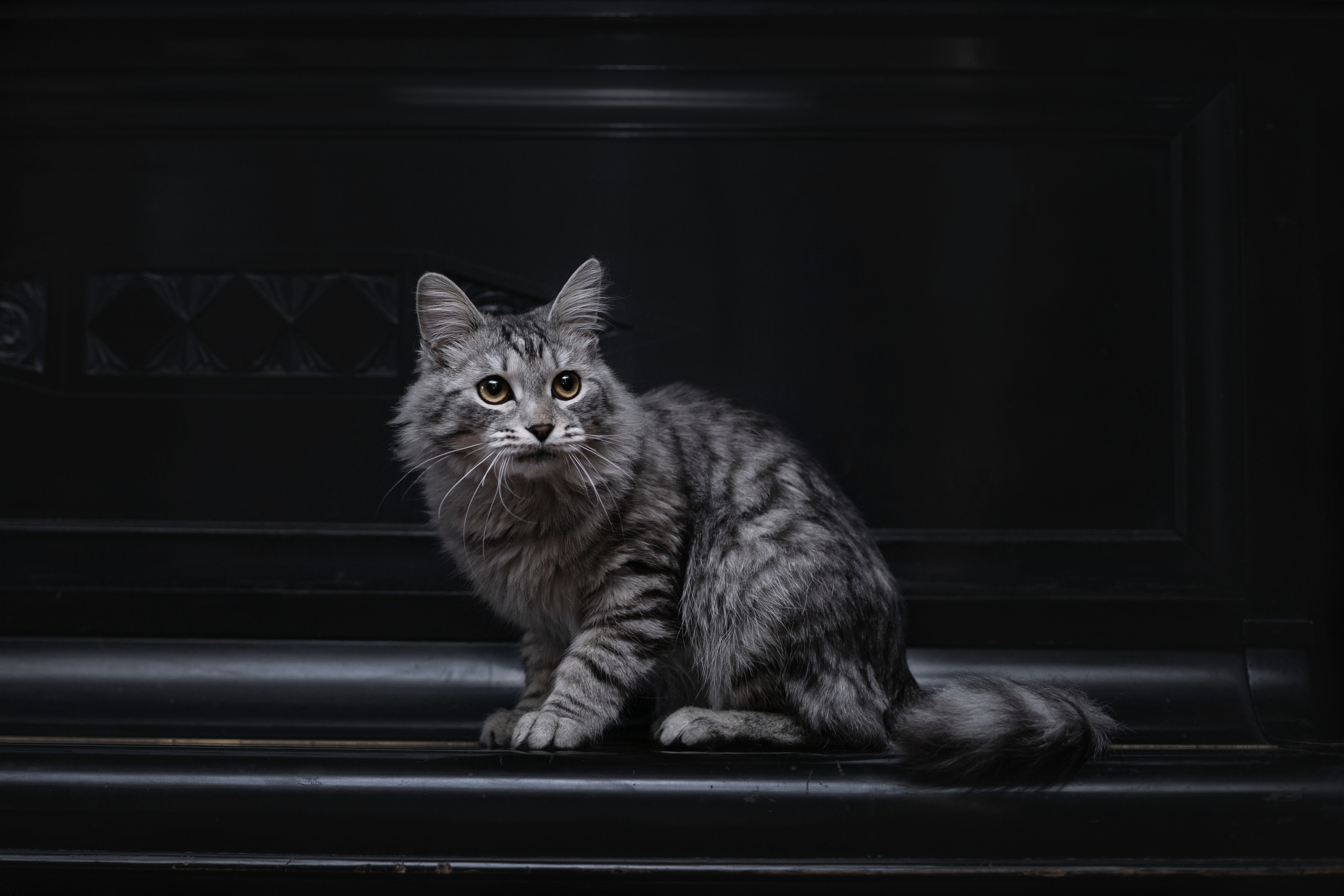 Космос 2023. Фотограф-анималист Татьяна Степанова