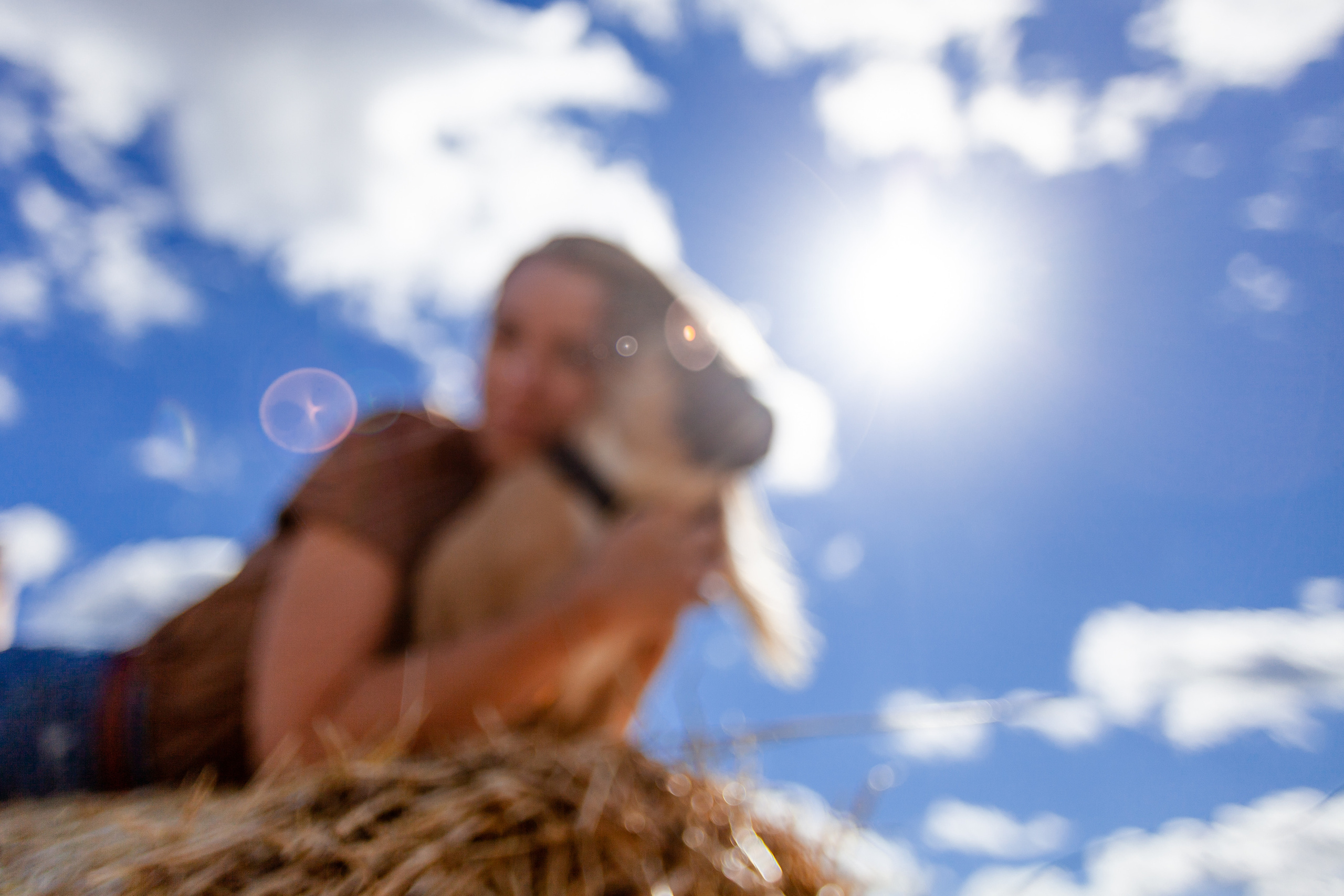Коломна, стога и подсолнухи. Фотограф-анималист Татьяна Степанова