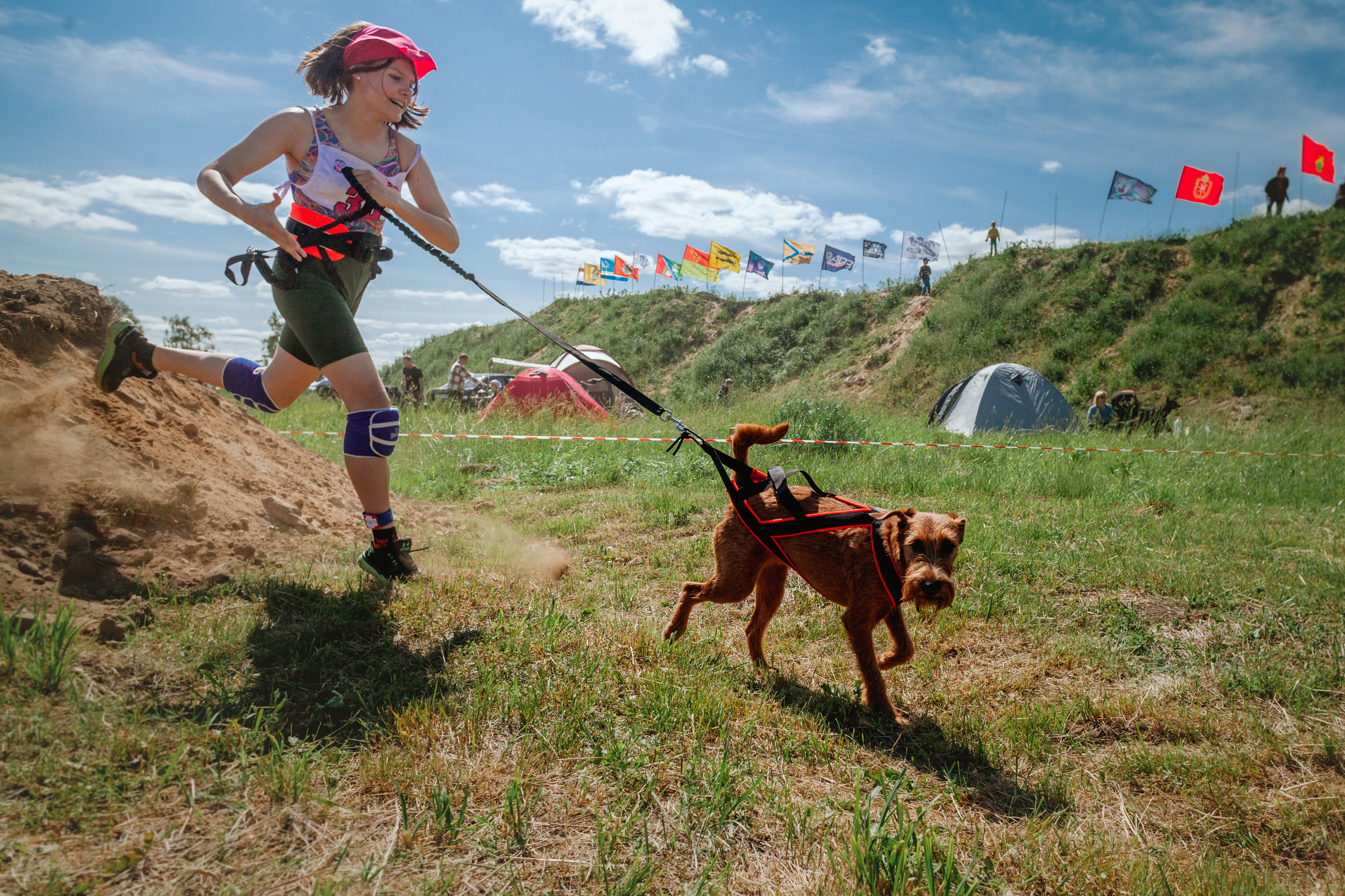 Хвостатый Драйв 11.06.2023. Фотограф-анималист Татьяна Степанова
