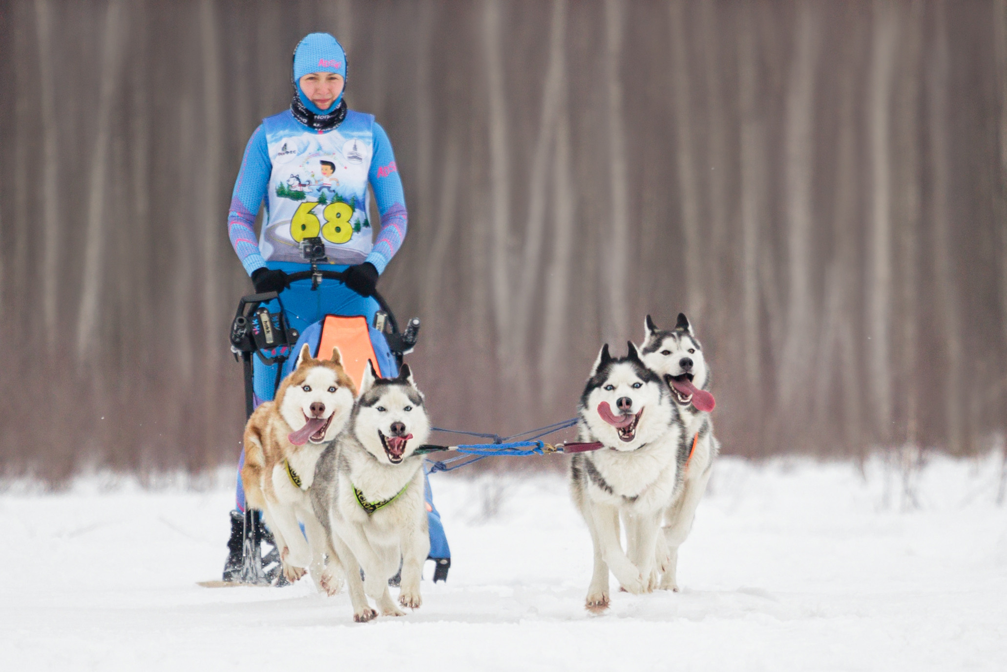 Холодные игры 28 февраля 2022. Фотограф-анималист Татьяна Степанова