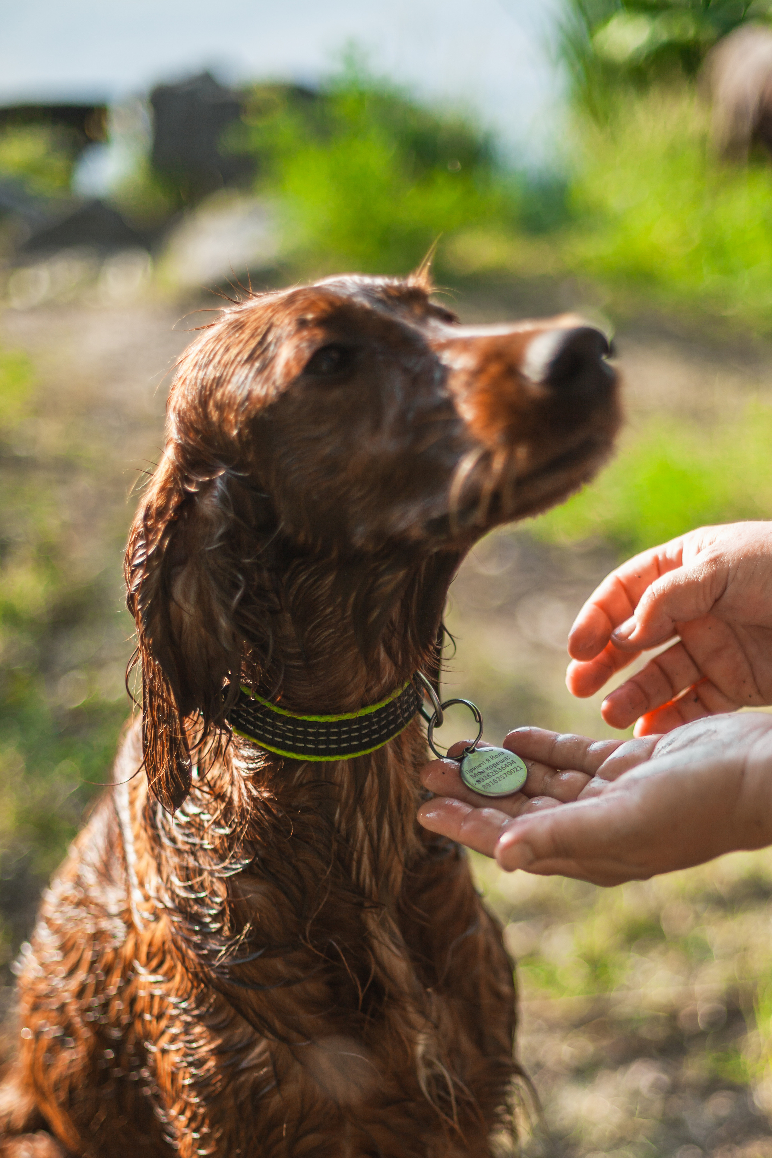 Рассветная съемка в ПКИО Северное Тушино. Фотограф-анималист Татьяна Степанова