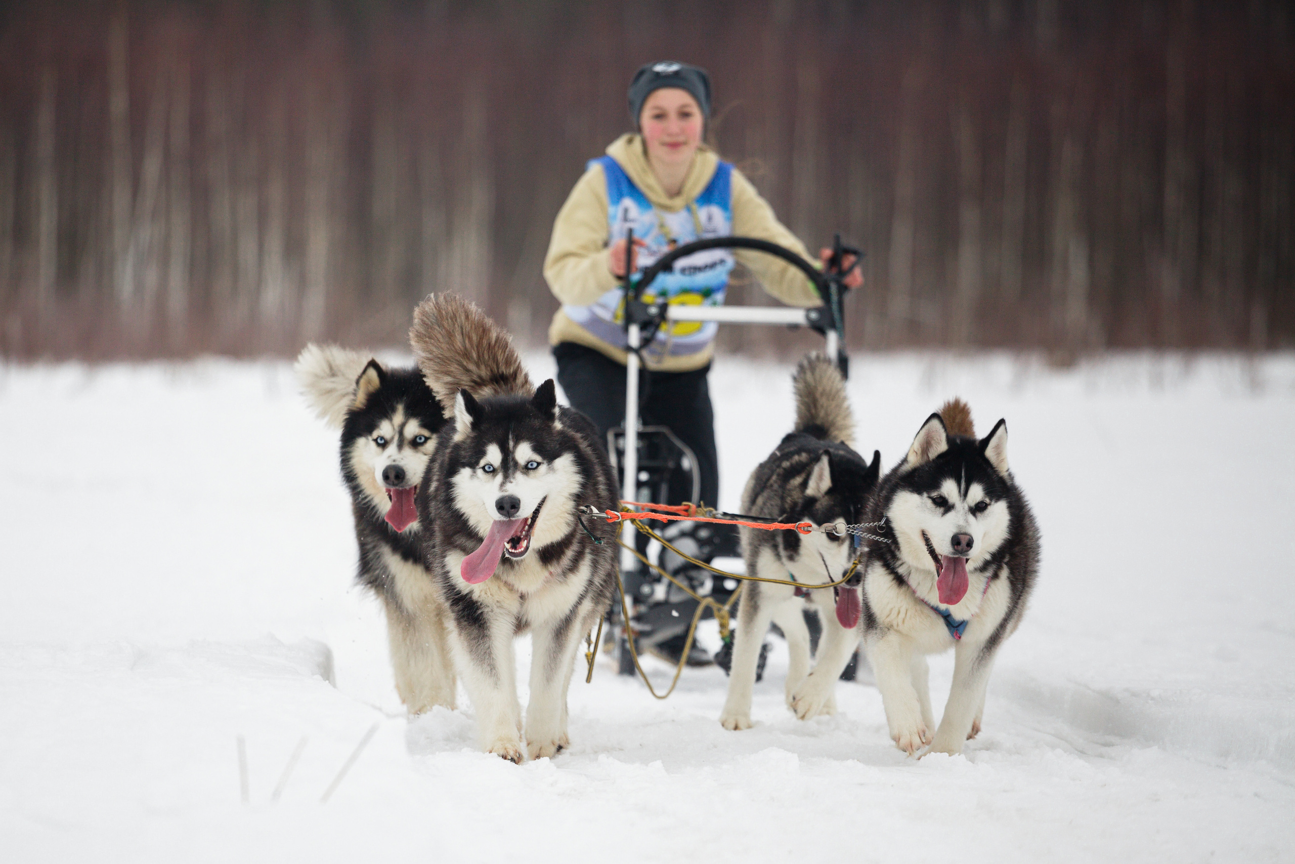 Холодные игры 28 февраля 2022. Фотограф-анималист Татьяна Степанова