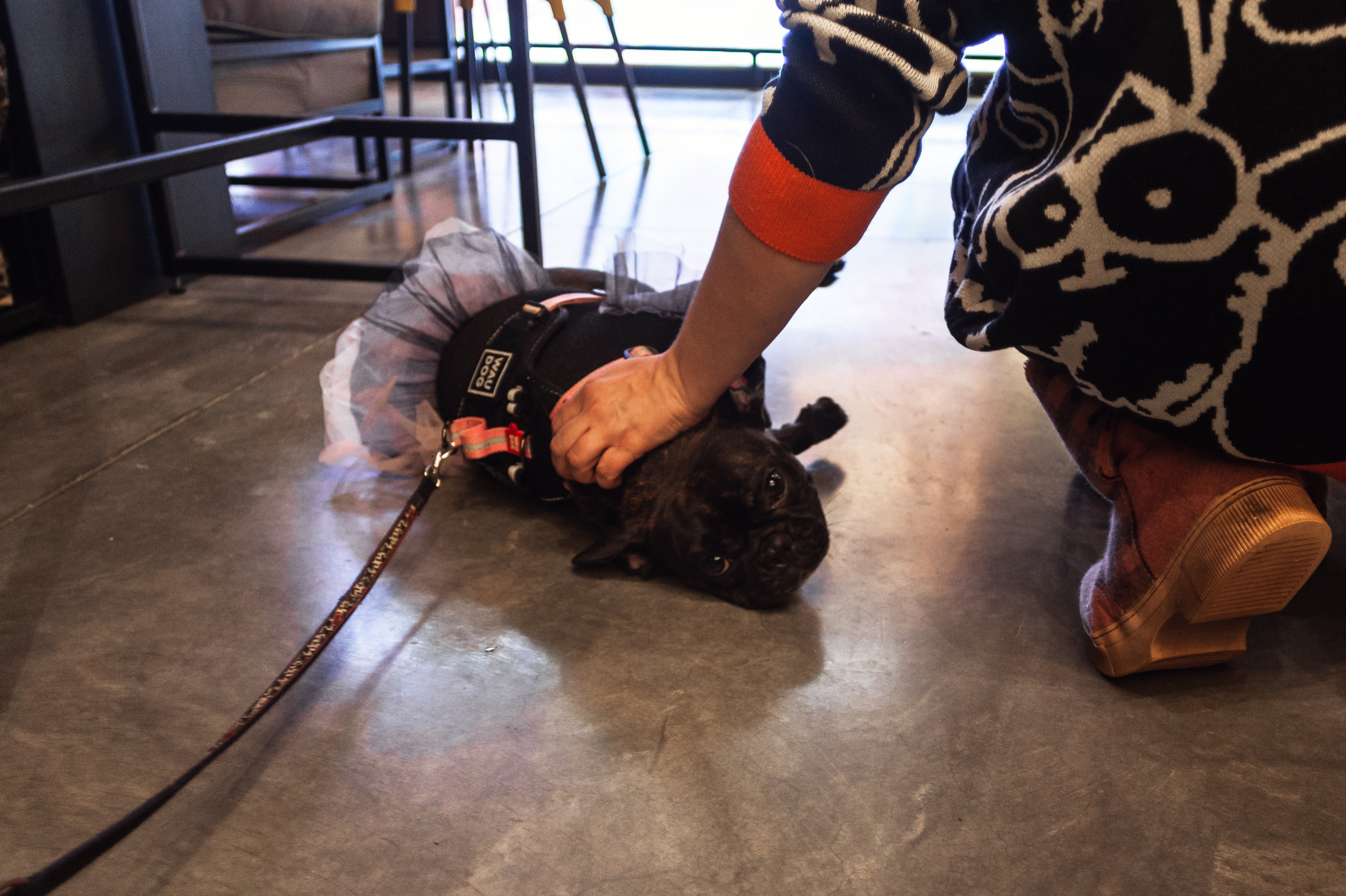 Бульелка 2022. Фотограф-анималист Татьяна Степанова