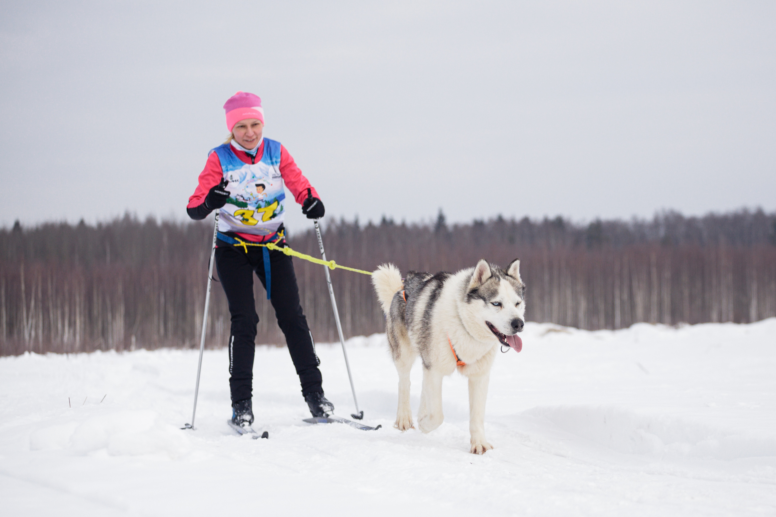 Холодные игры 28 февраля 2022. Фотограф-анималист Татьяна Степанова
