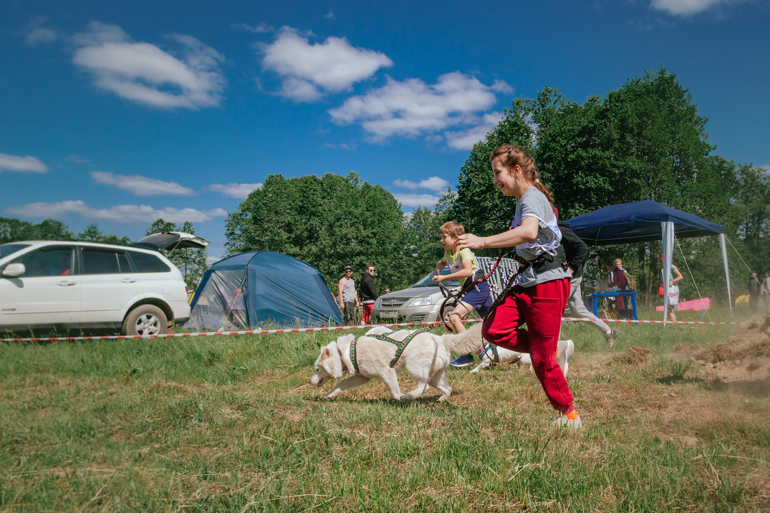 Хвостатый Драйв 11.06.2023. Фотограф-анималист Татьяна Степанова