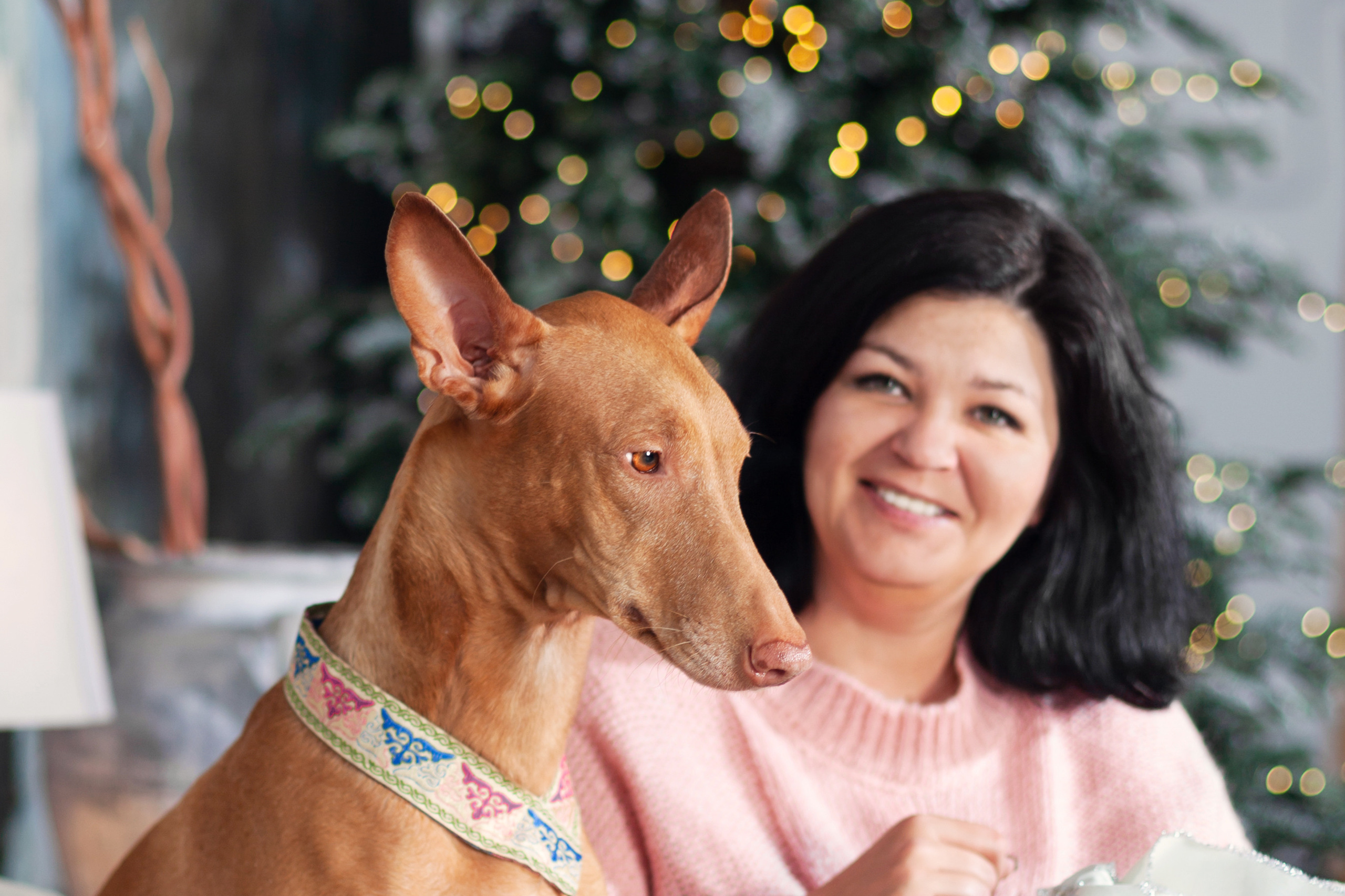 Юля и Мэри. Фотограф-анималист Татьяна Степанова