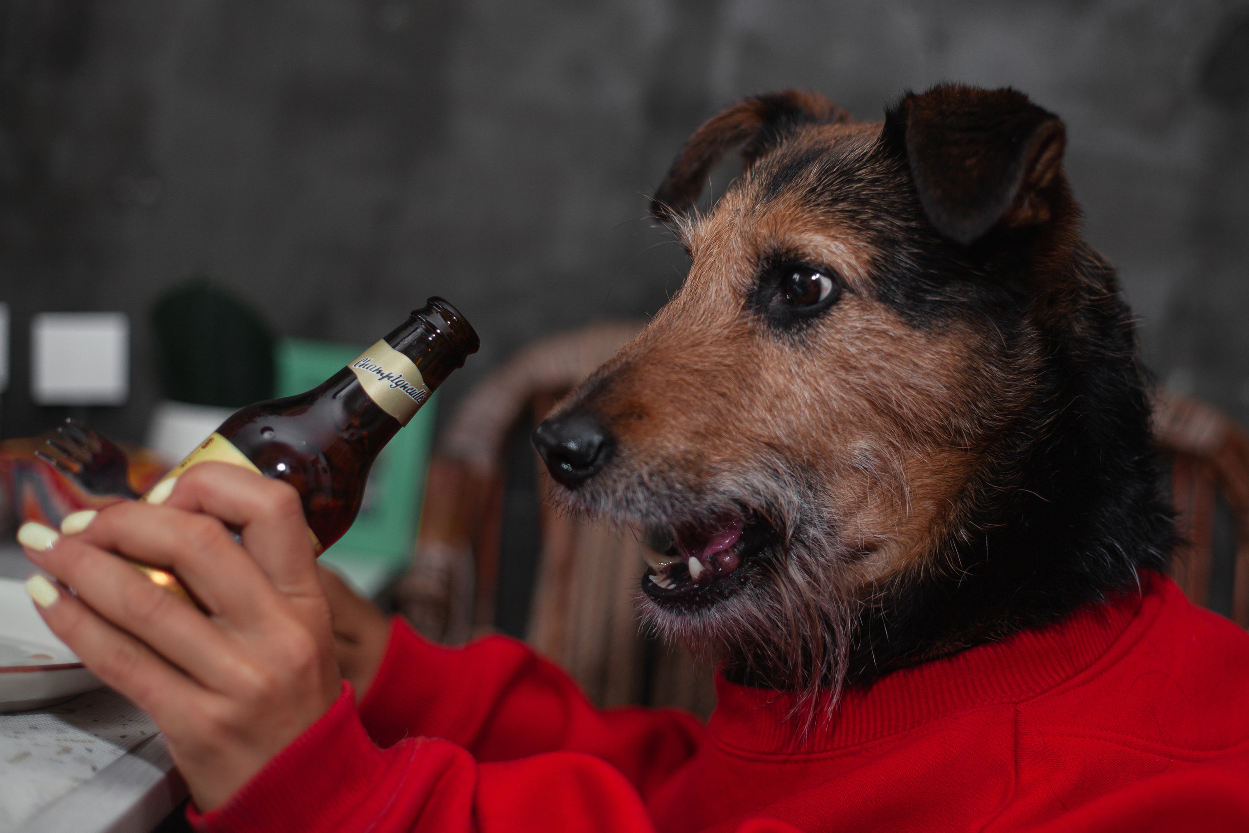 Лиза и Бренда. Фотограф-анималист Татьяна Степанова