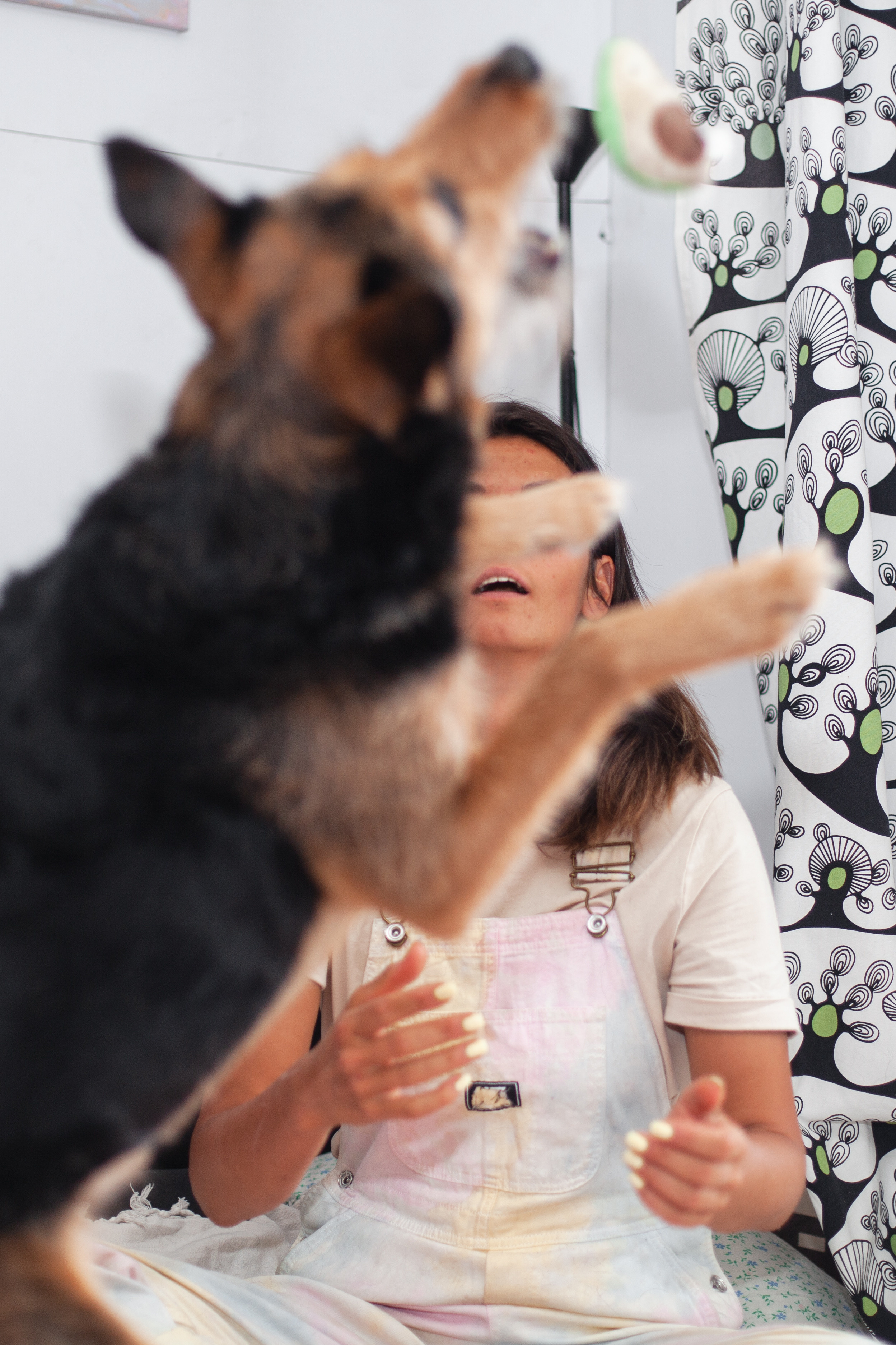 Лиза и Бренда. Фотограф-анималист Татьяна Степанова