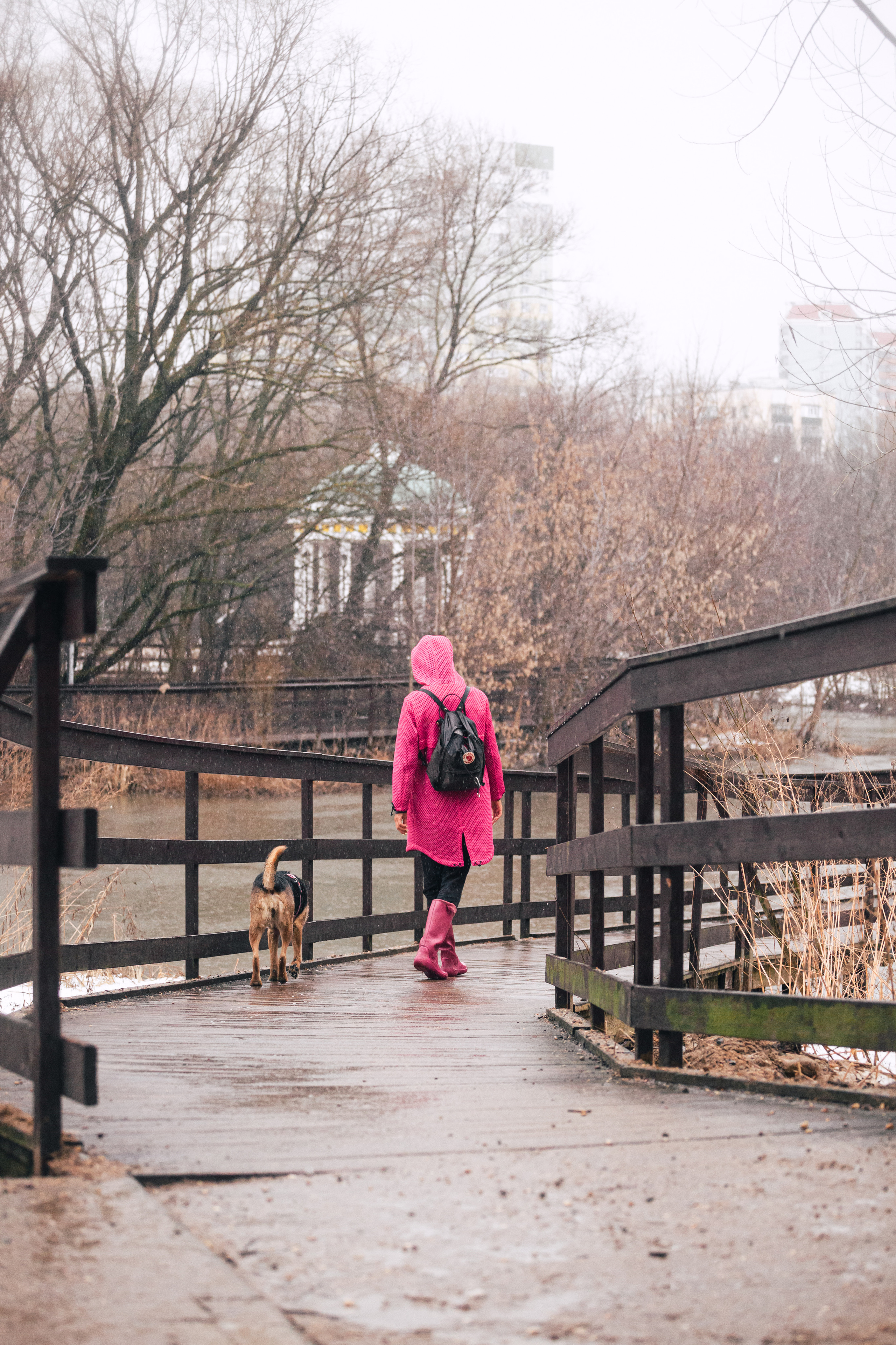 Лиза и Бренда. Фотограф-анималист Татьяна Степанова