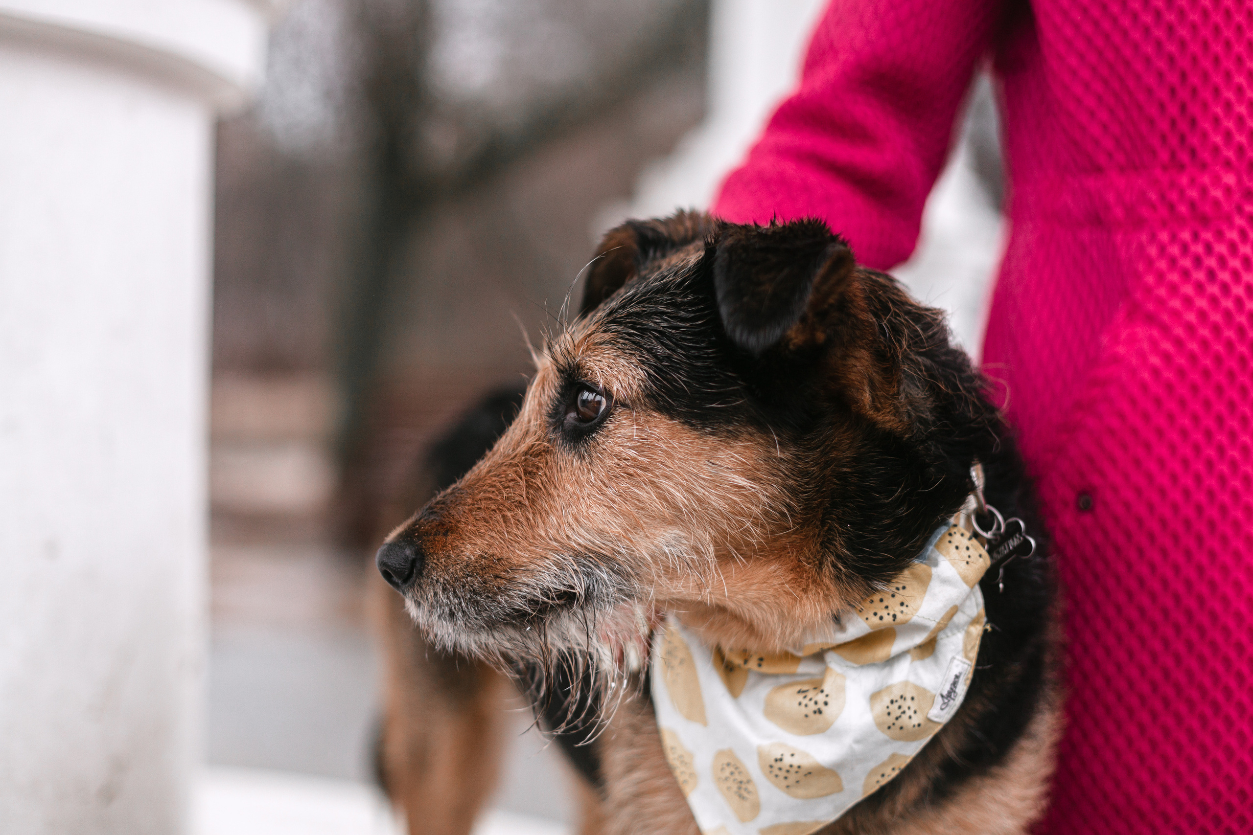 Лиза и Бренда. Фотограф-анималист Татьяна Степанова