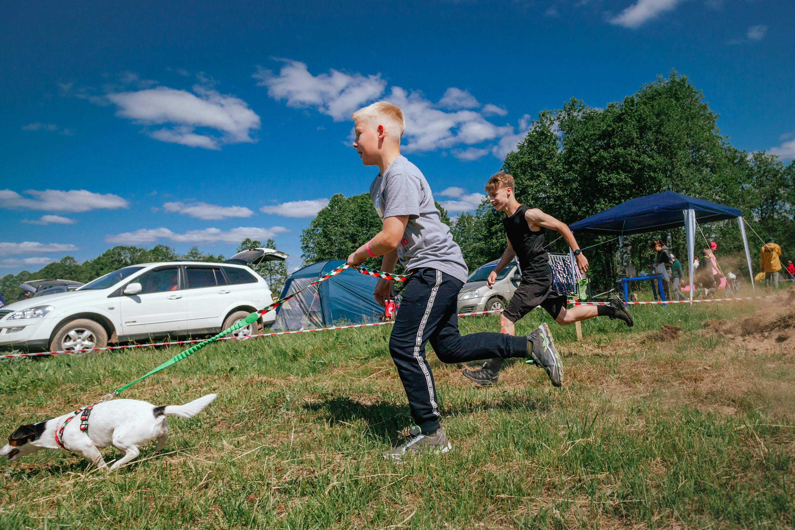 Хвостатый Драйв 11.06.2023. Фотограф-анималист Татьяна Степанова