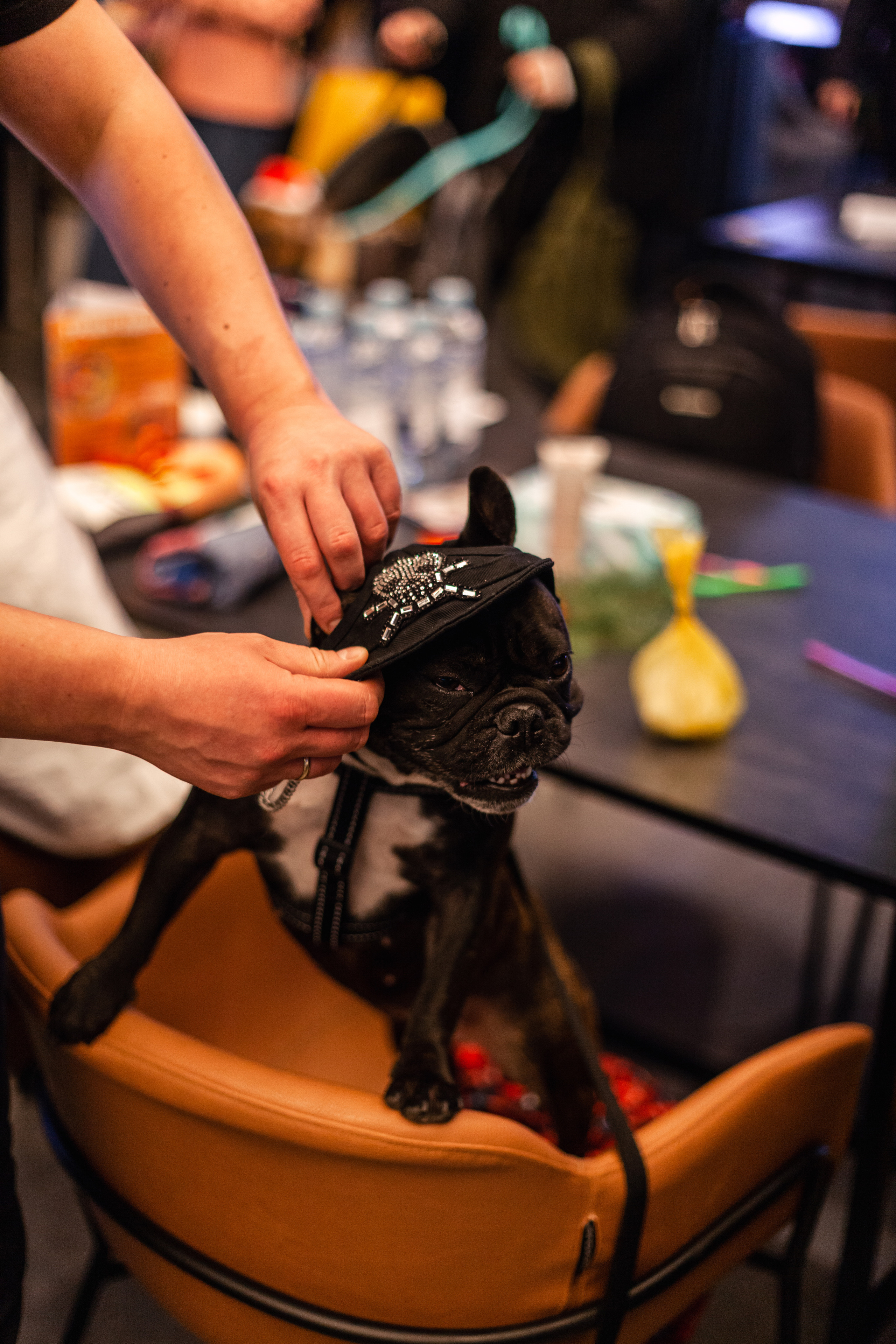 Бульелка 2022. Фотограф-анималист Татьяна Степанова