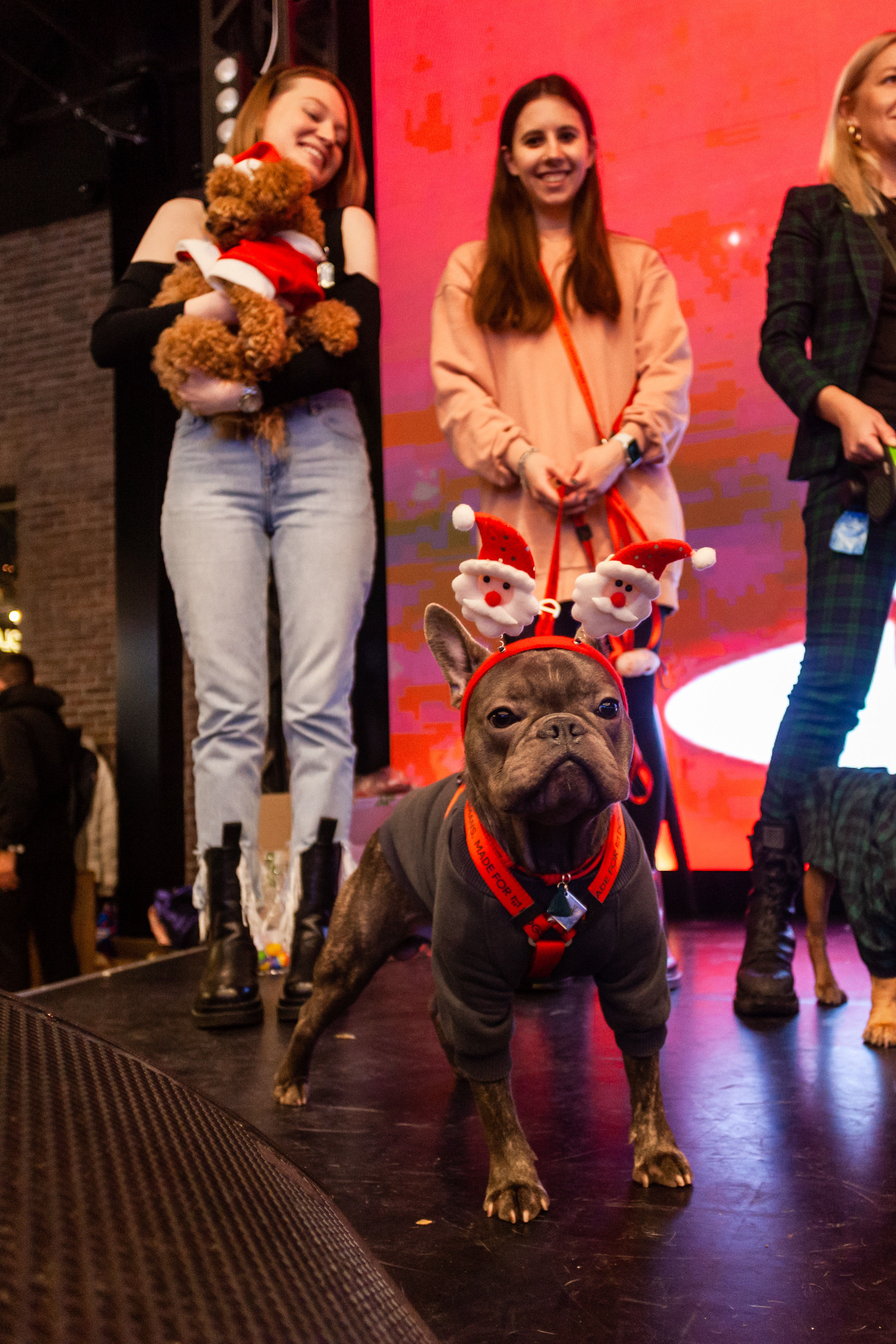 Бульелка 2022. Фотограф-анималист Татьяна Степанова