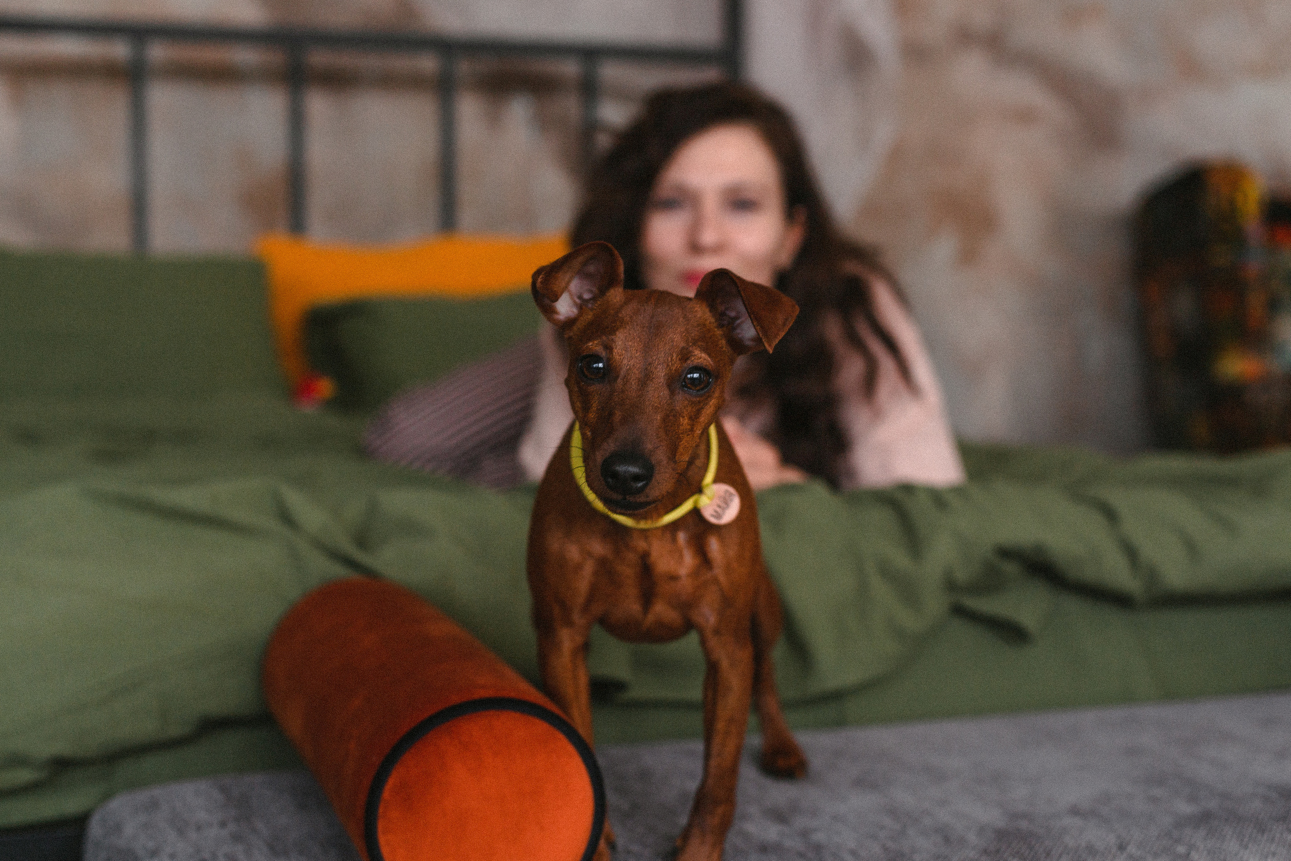 Александра и пинчеры Майя и Джой. Фотограф-анималист Татьяна Степанова