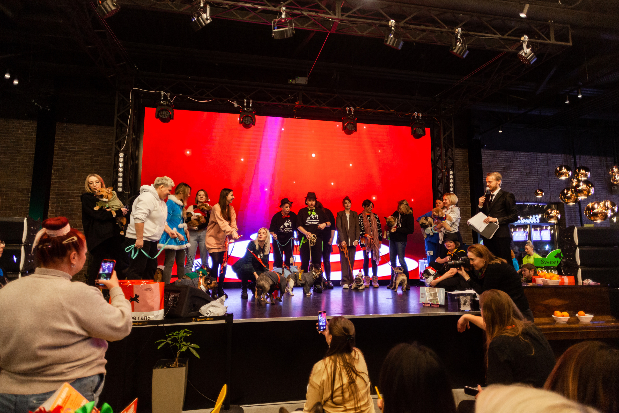 Бульелка 2022. Фотограф-анималист Татьяна Степанова