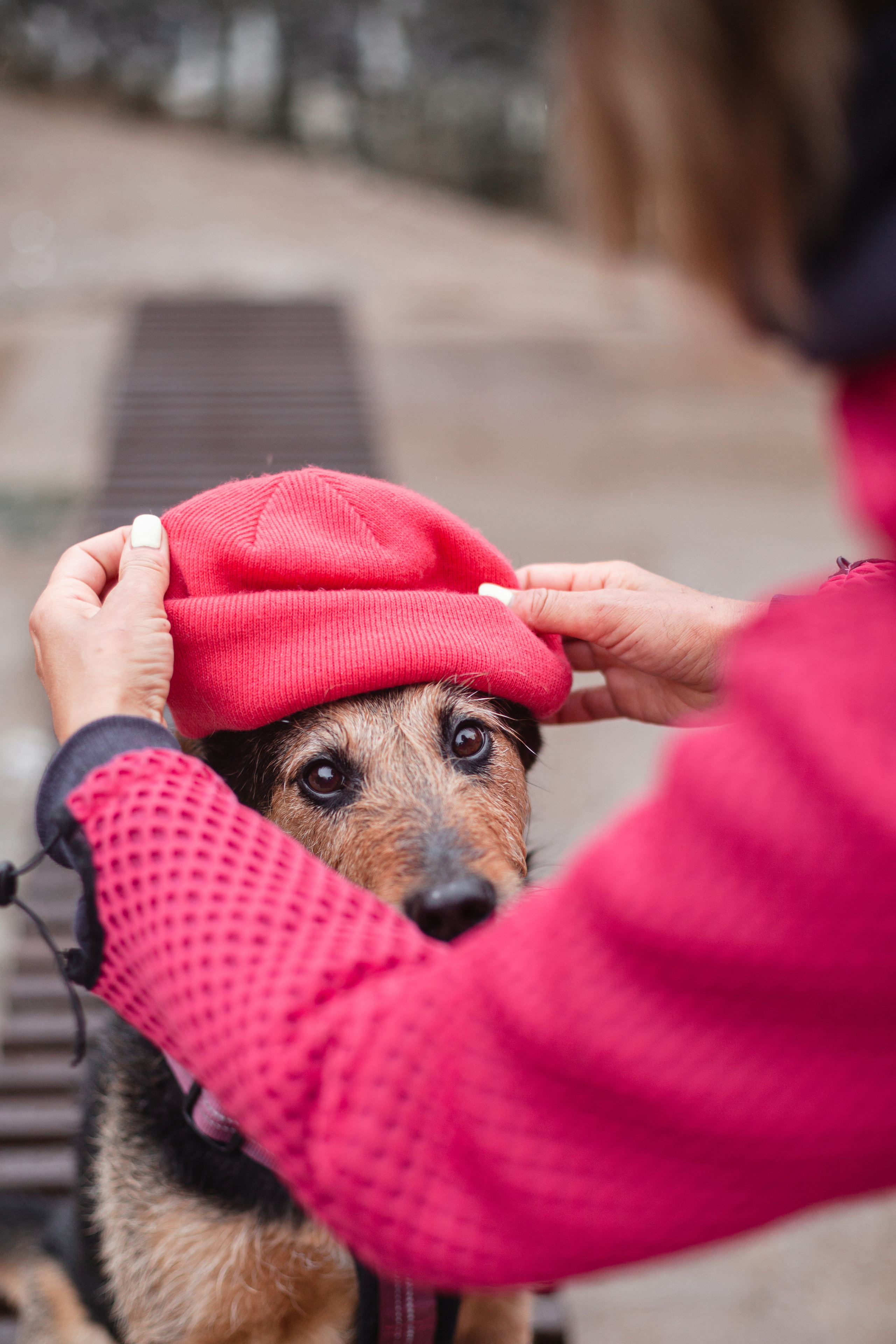 Лиза и Бренда. Фотограф-анималист Татьяна Степанова