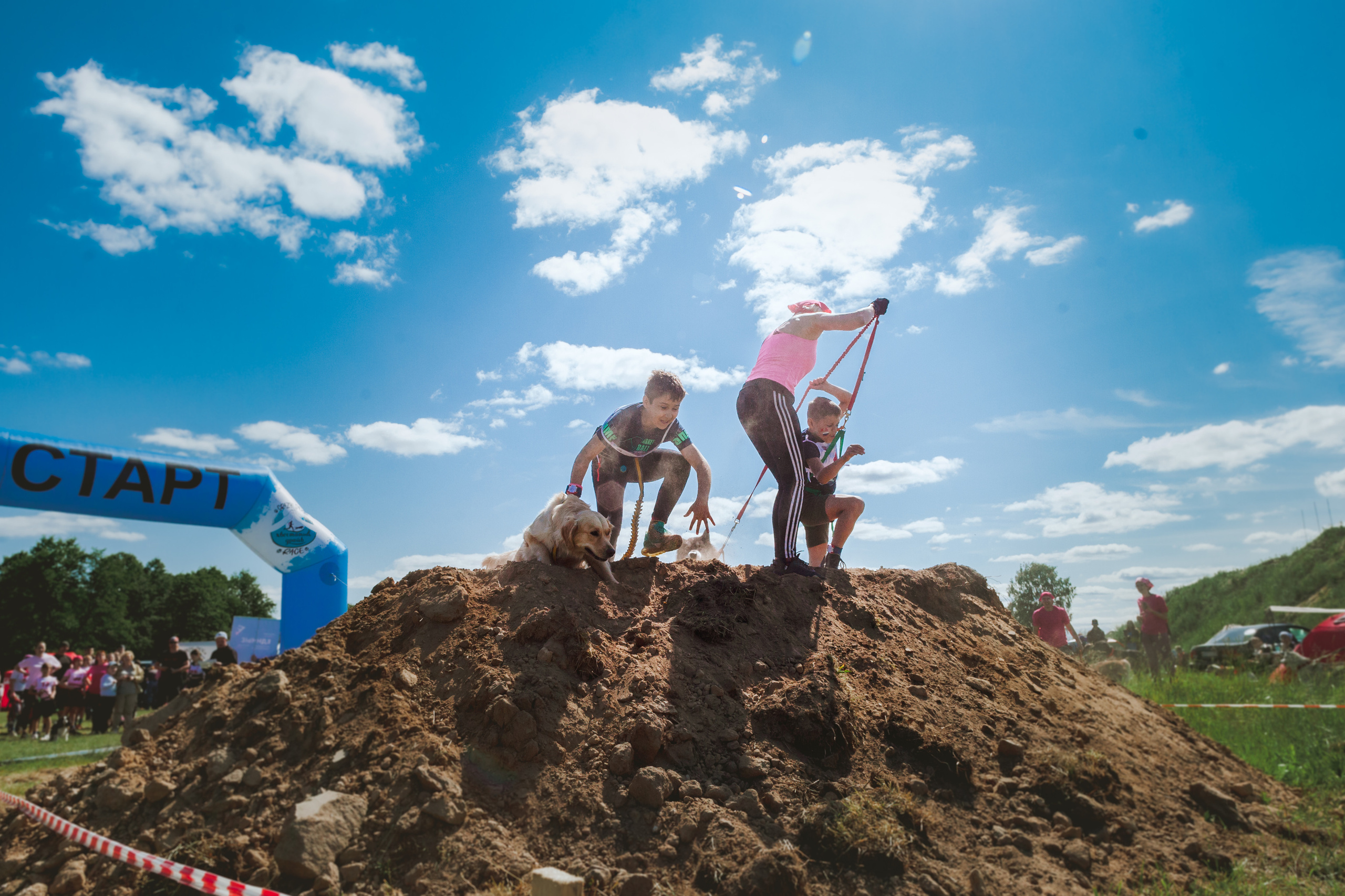 Хвостатый Драйв 11.06.2023. Фотограф-анималист Татьяна Степанова