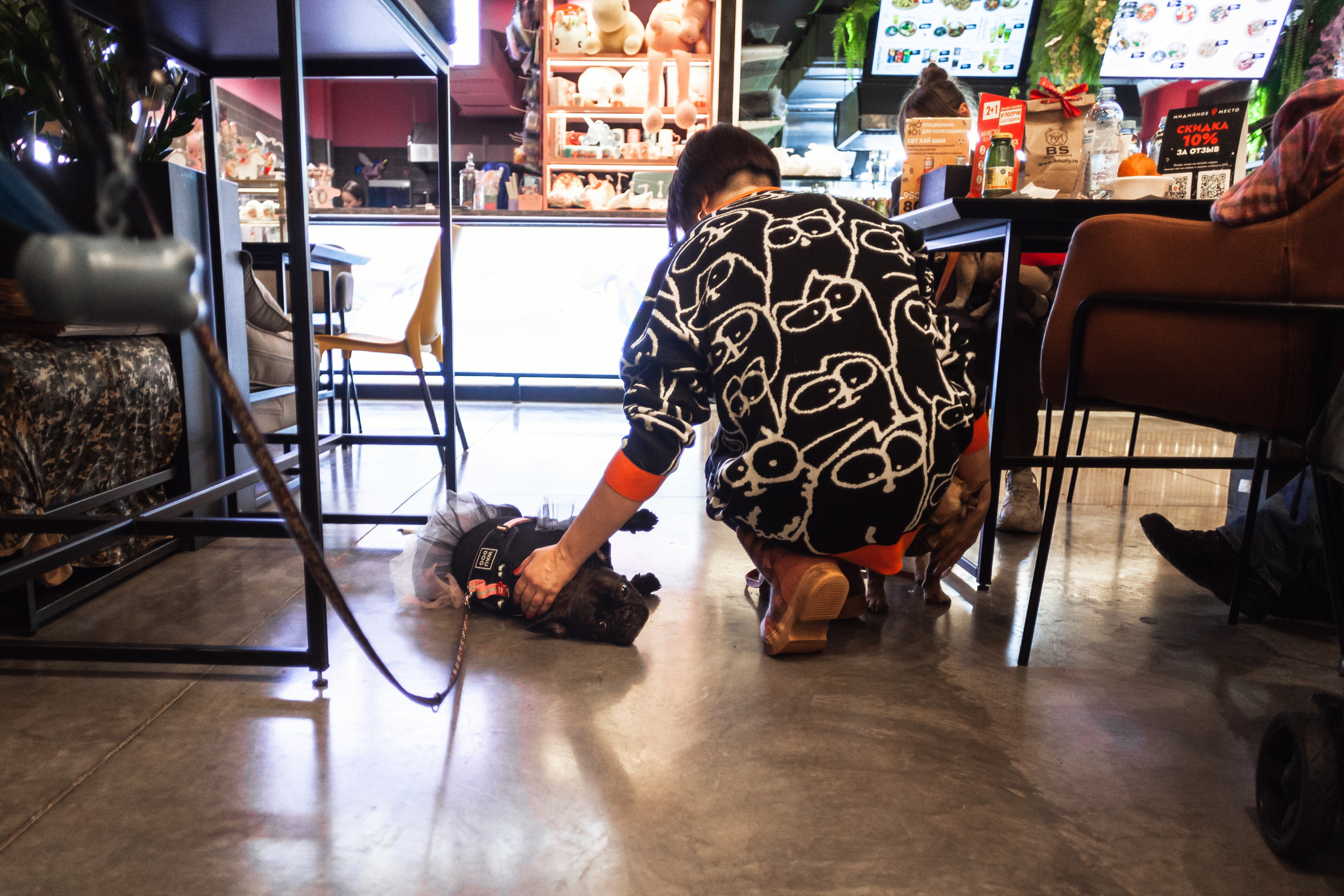 Бульелка 2022. Фотограф-анималист Татьяна Степанова