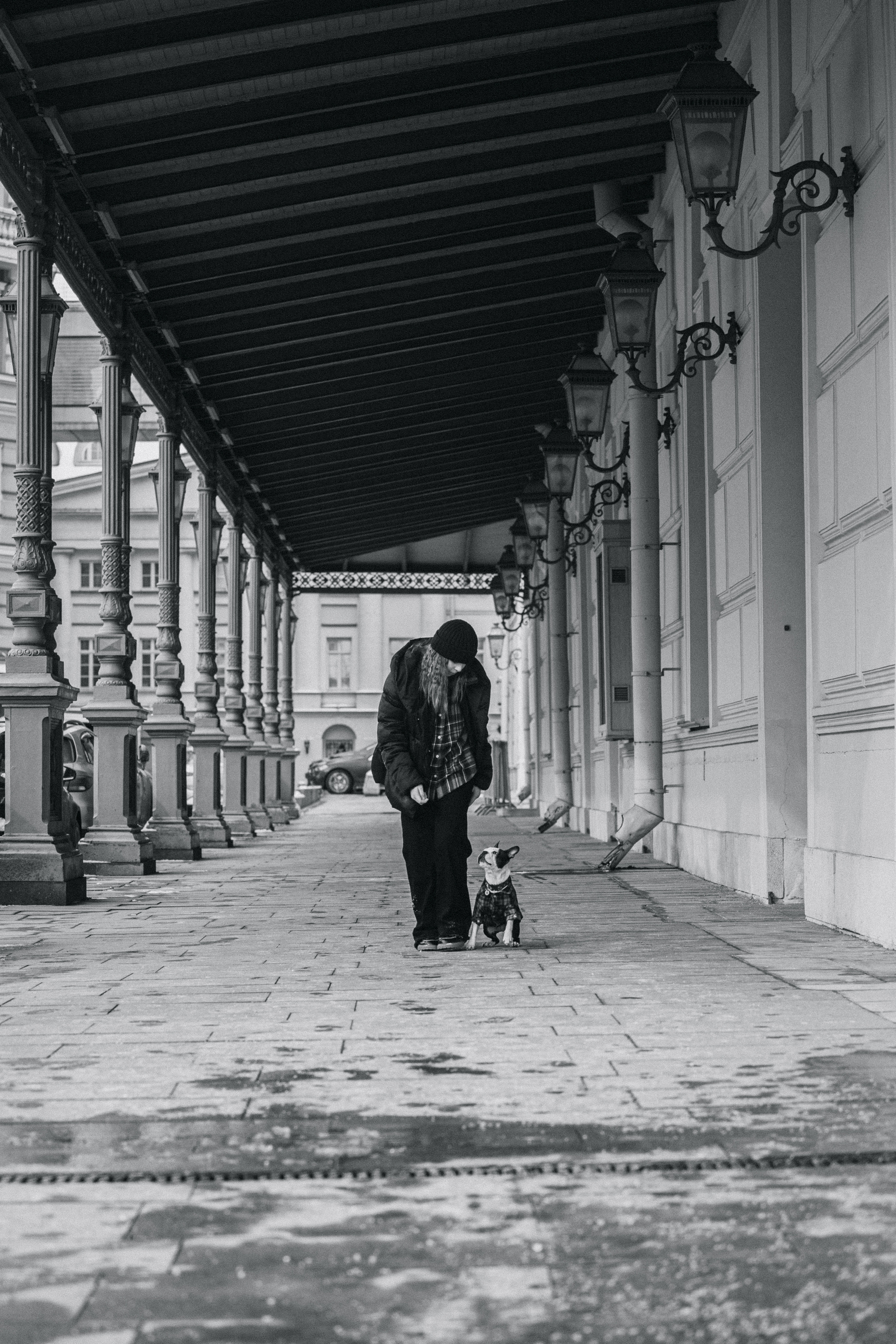 Василиса и Мира Кузнецкий мост. Фотограф-анималист Татьяна Степанова