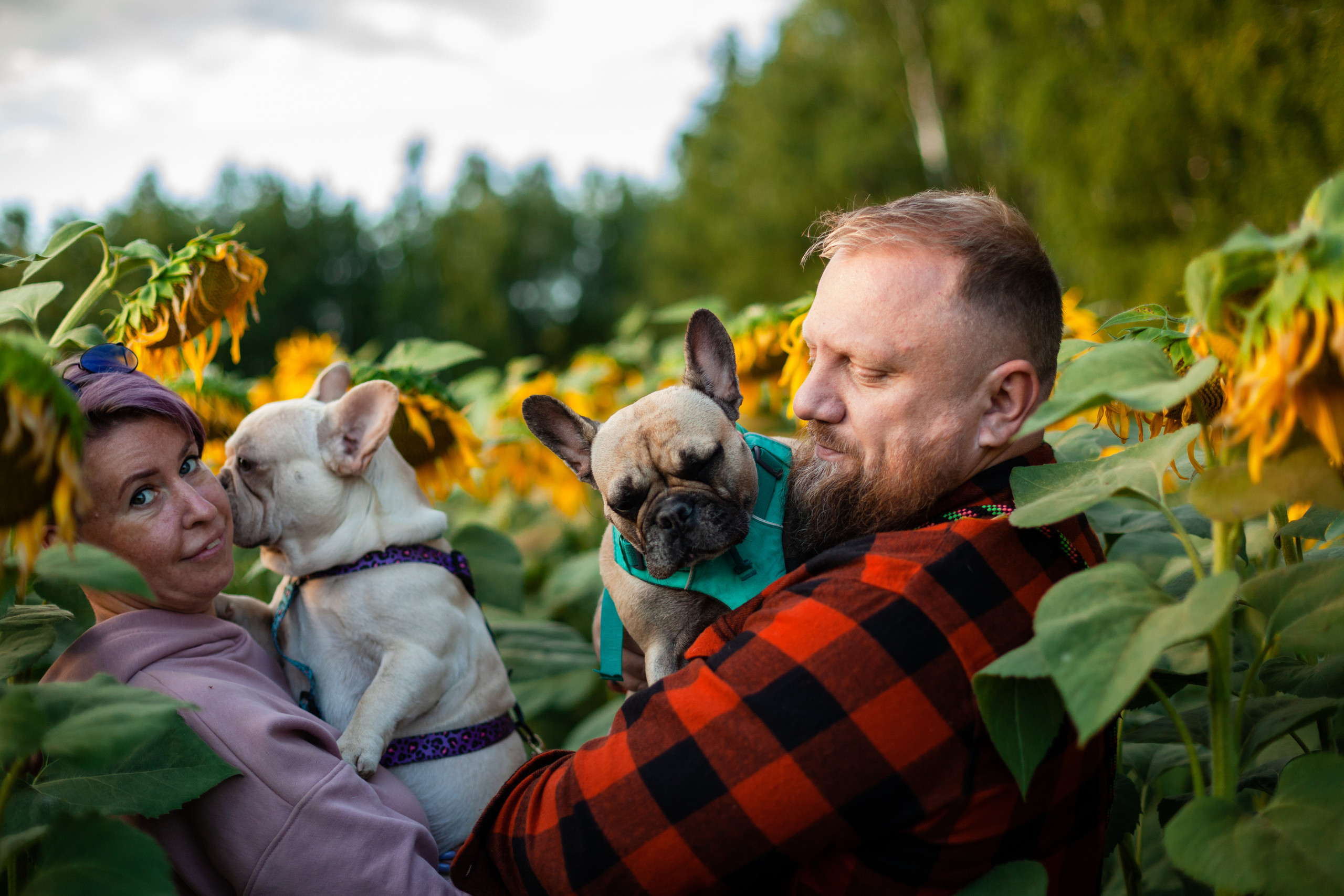 Коломна, стога и подсолнухи. Фотограф-анималист Татьяна Степанова