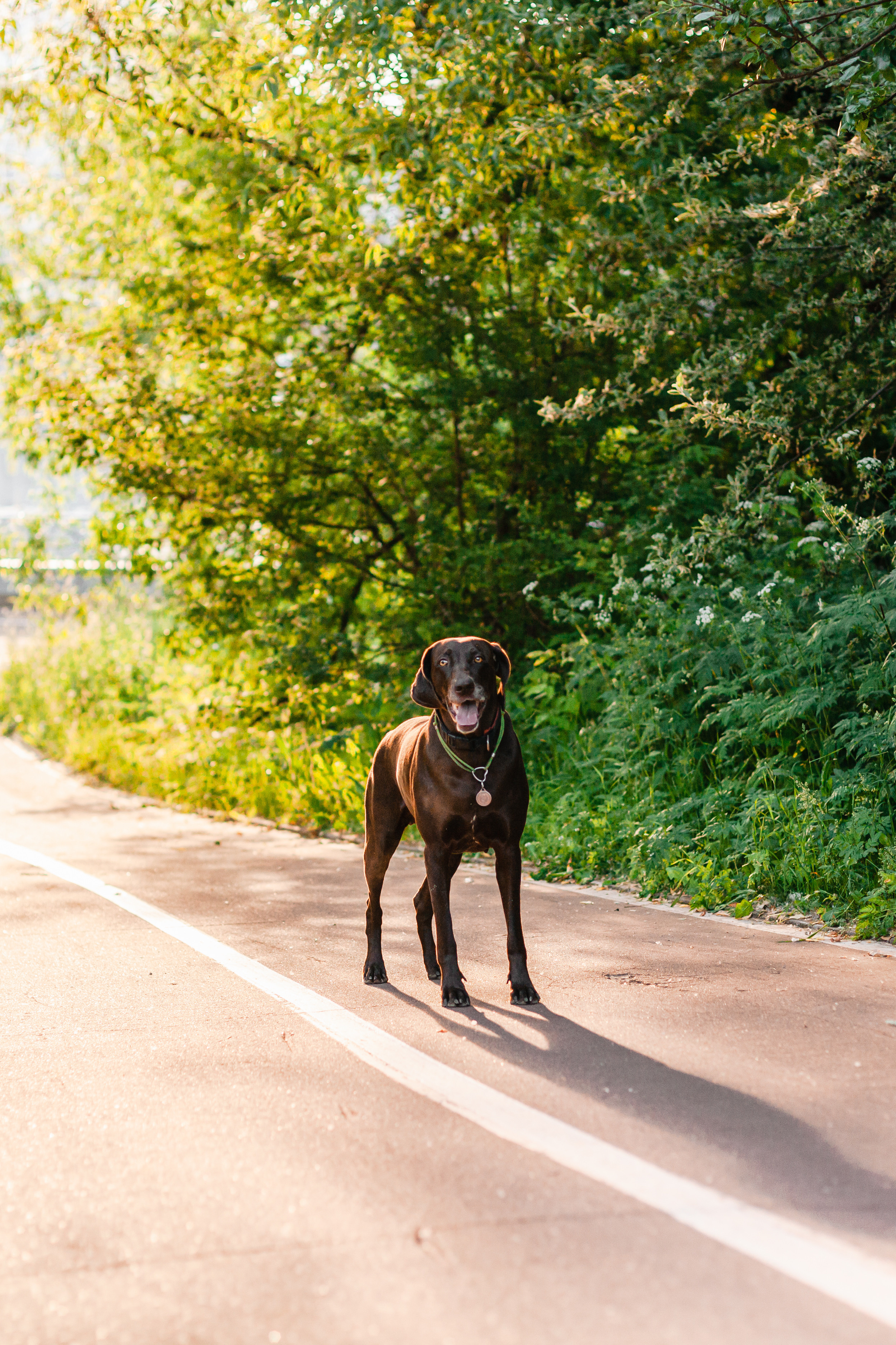 Рассветная съемка в ПКИО Северное Тушино. Фотограф-анималист Татьяна Степанова
