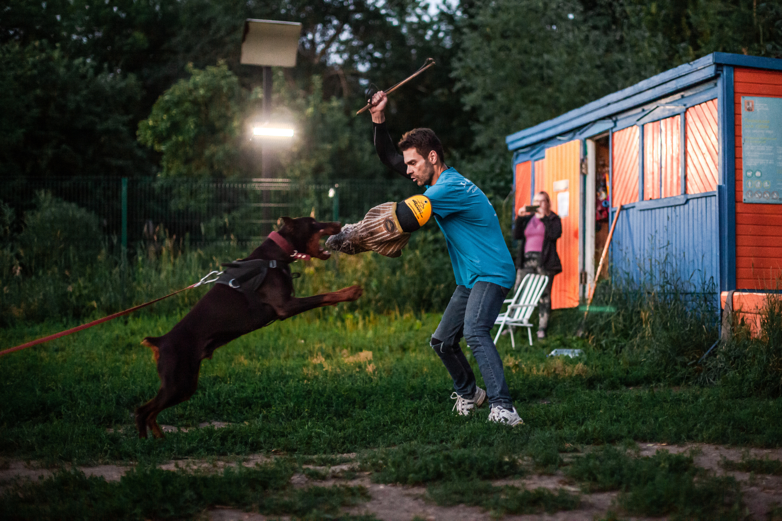 Занятие ЗКС+Выборка 2022. Фотограф-анималист Татьяна Степанова