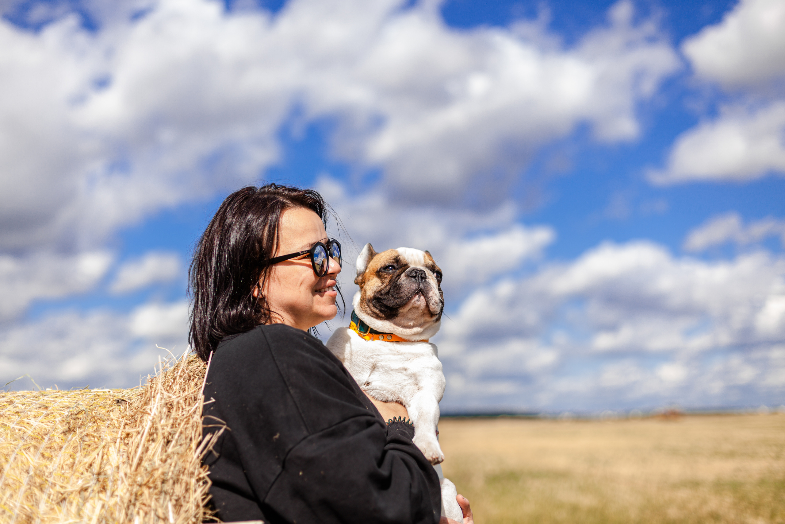 Коломна, стога и подсолнухи. Фотограф-анималист Татьяна Степанова