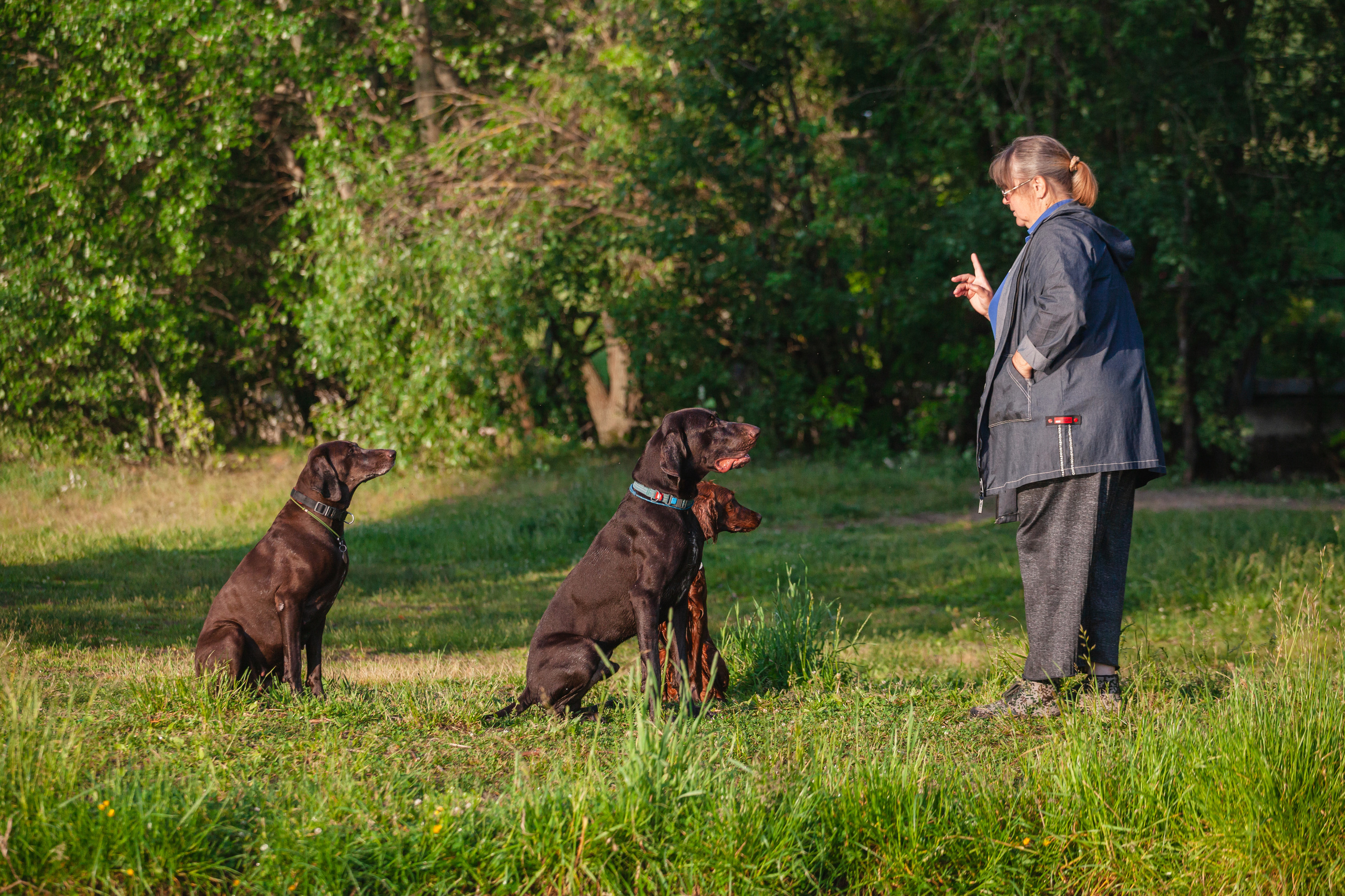 Рассветная съемка в ПКИО Северное Тушино. Фотограф-анималист Татьяна Степанова