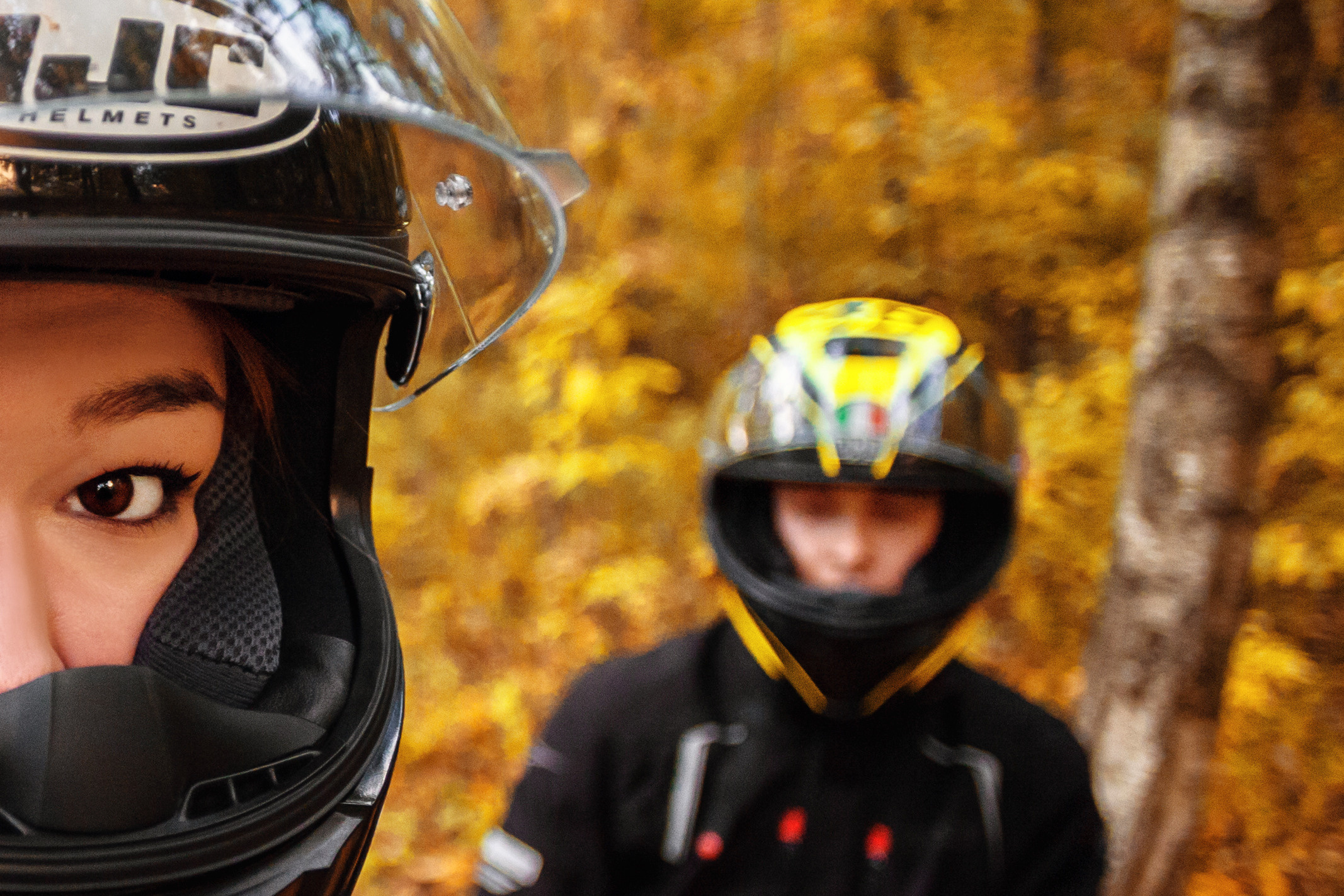 Кристина и Олег в Алешкинском лесопарке. Фотограф-анималист Татьяна Степанова