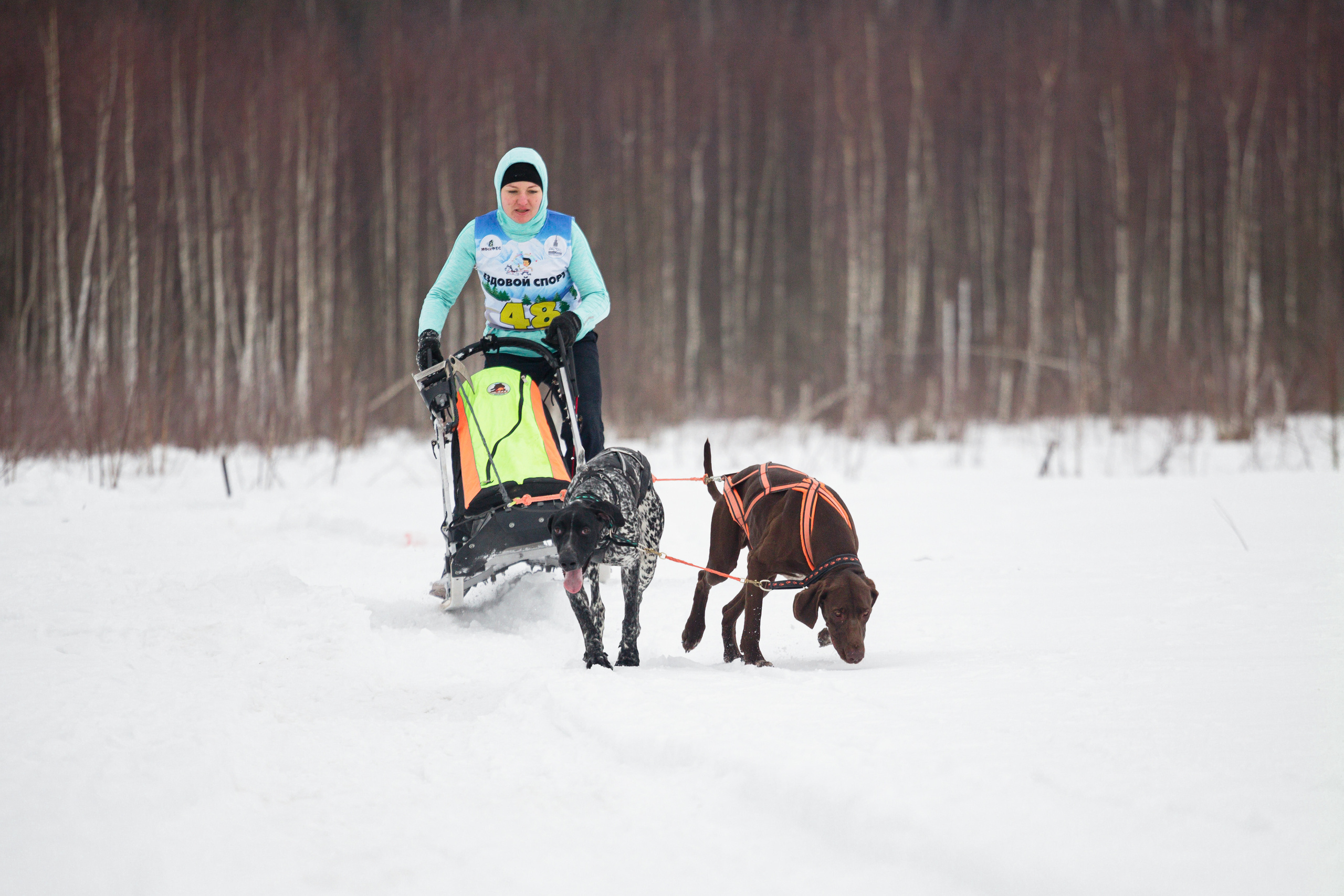 Холодные игры 28 февраля 2022. Фотограф-анималист Татьяна Степанова
