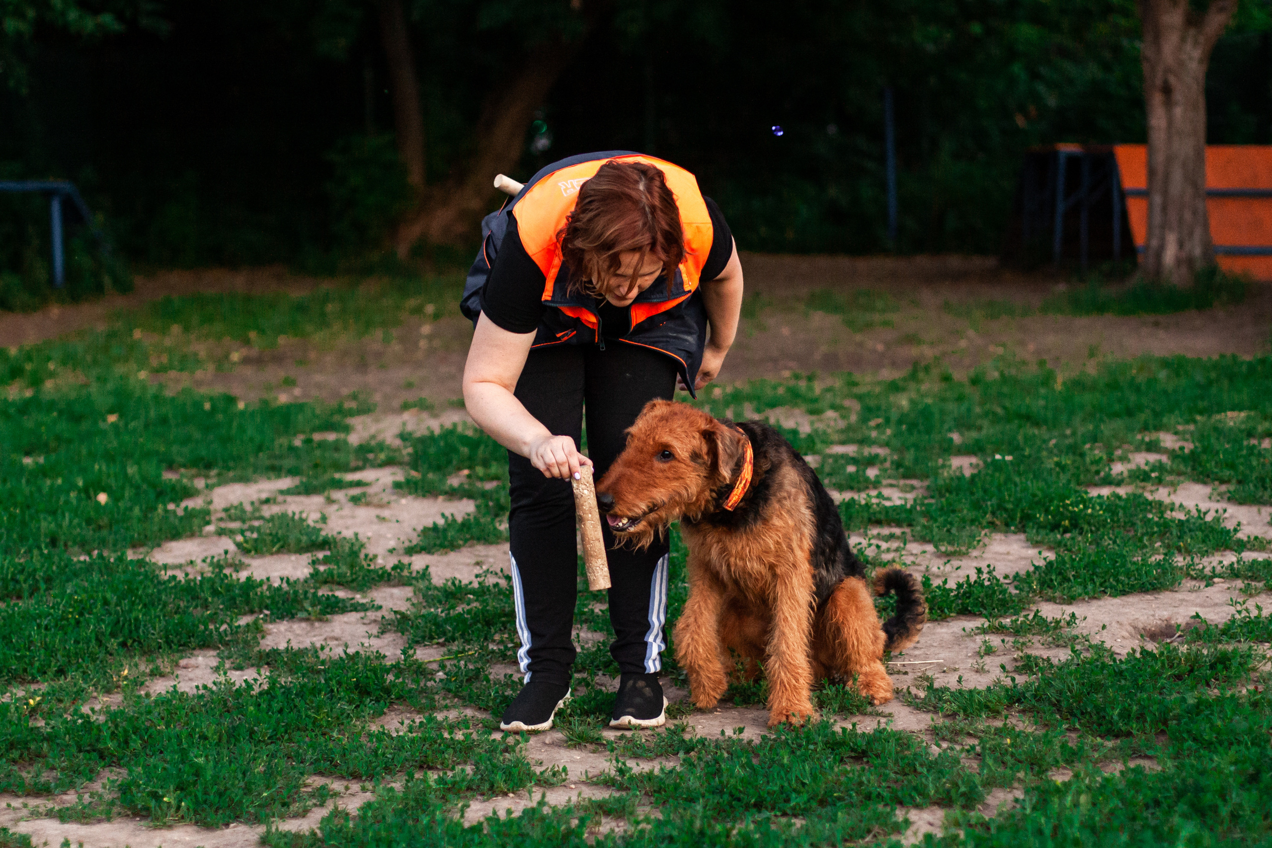 Занятие ЗКС+Выборка 2022. Фотограф-анималист Татьяна Степанова