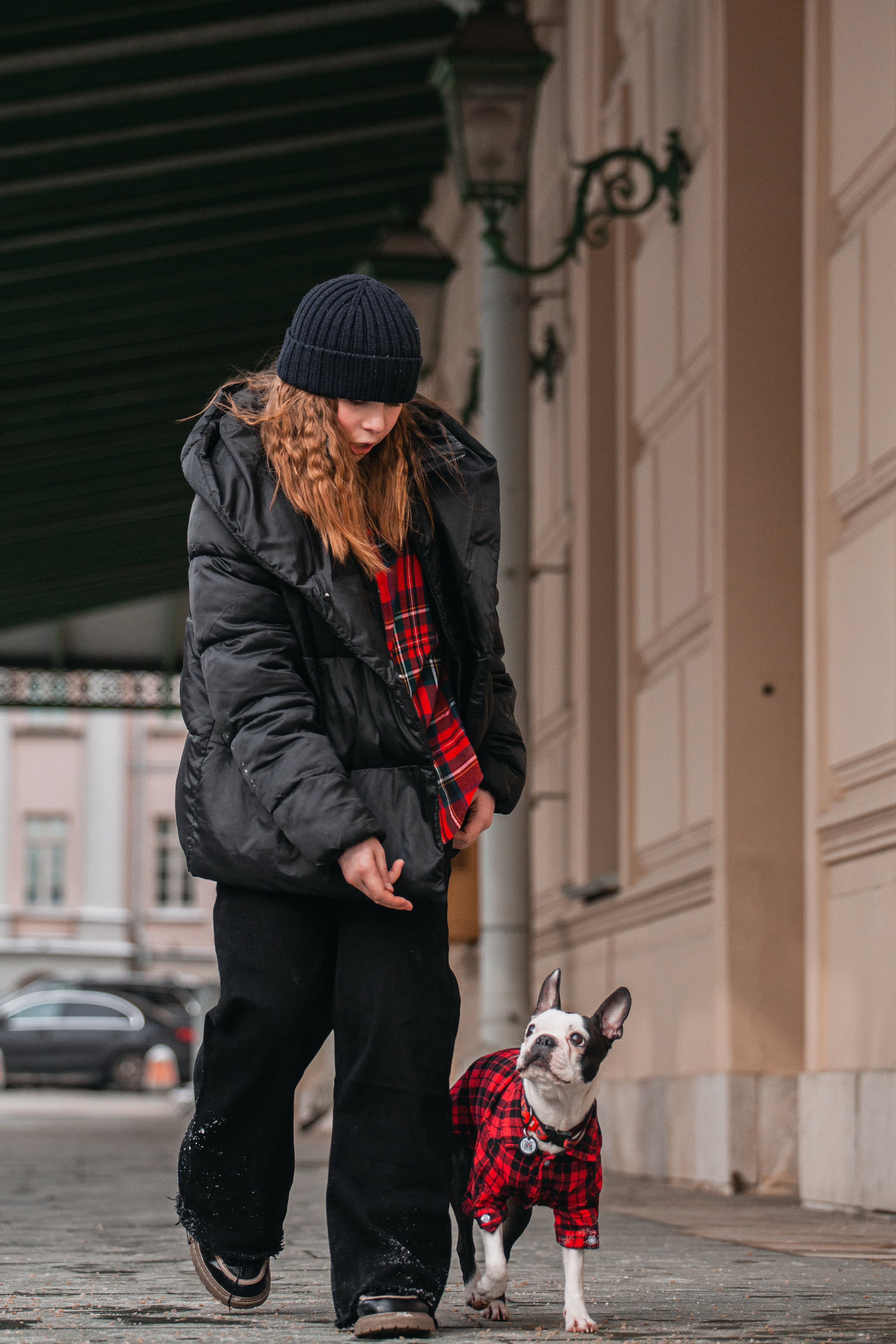 Василиса и Мира Кузнецкий мост. Фотограф-анималист Татьяна Степанова