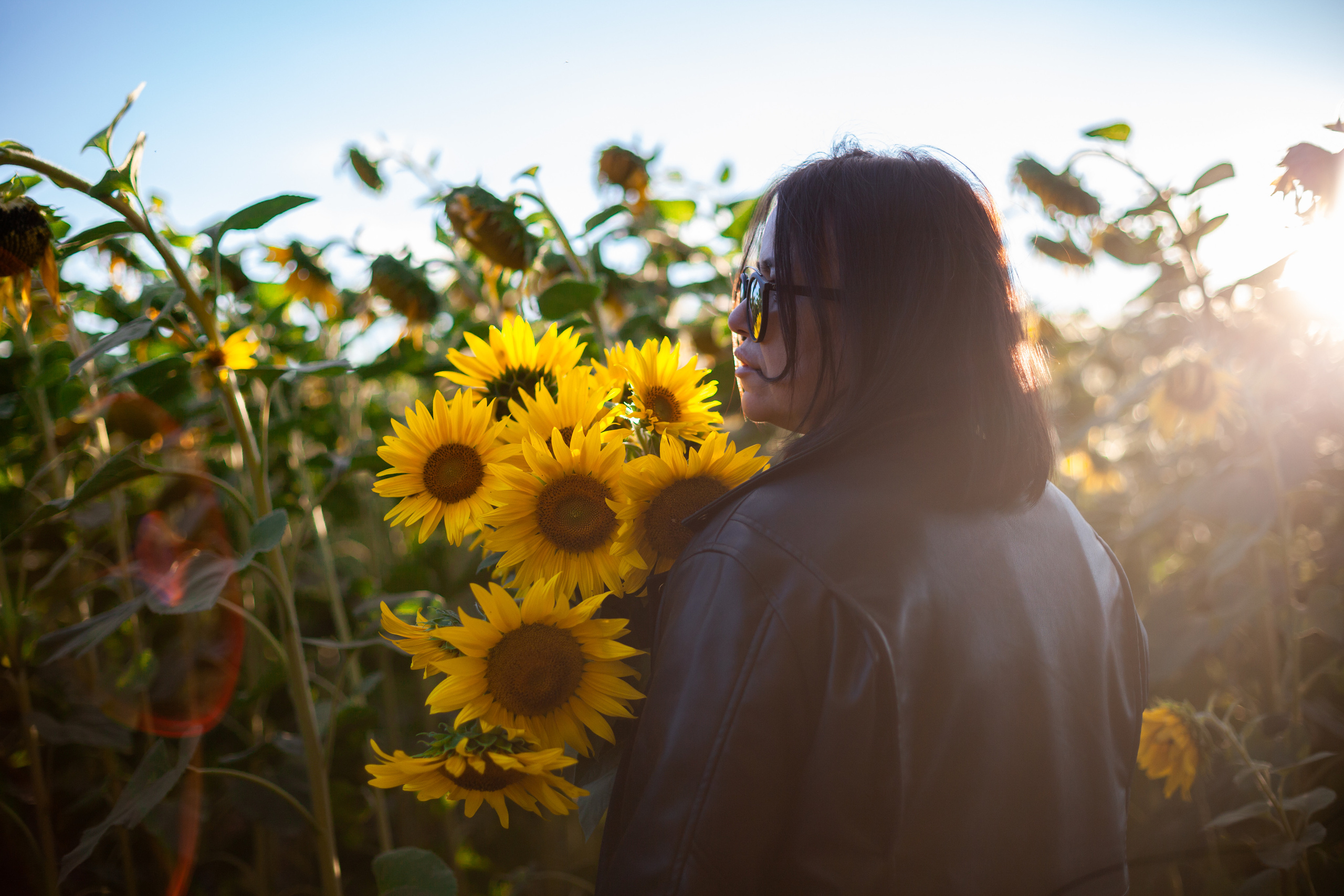 Коломна, стога и подсолнухи. Фотограф-анималист Татьяна Степанова