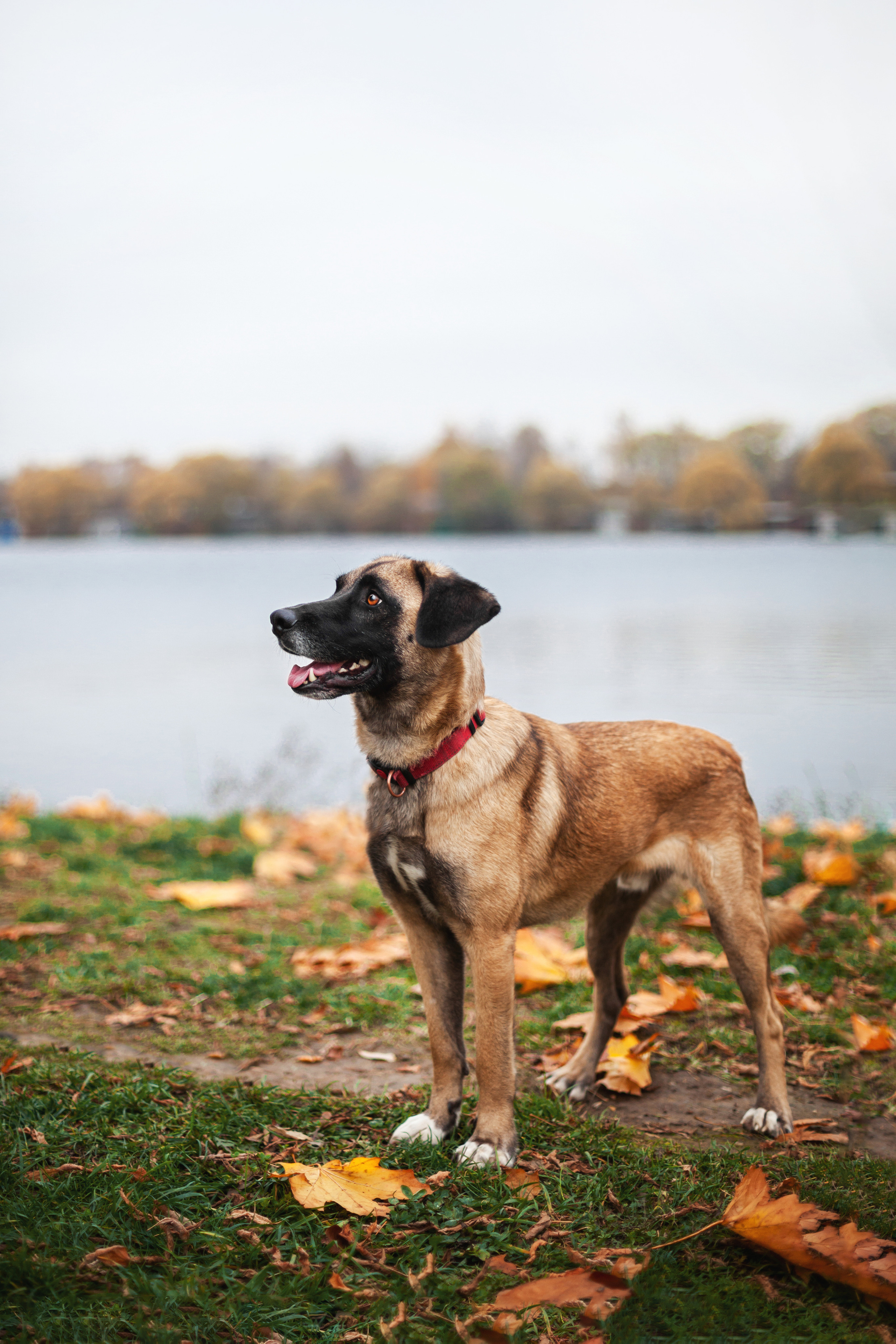 Фучик 2022. Фотограф-анималист Татьяна Степанова