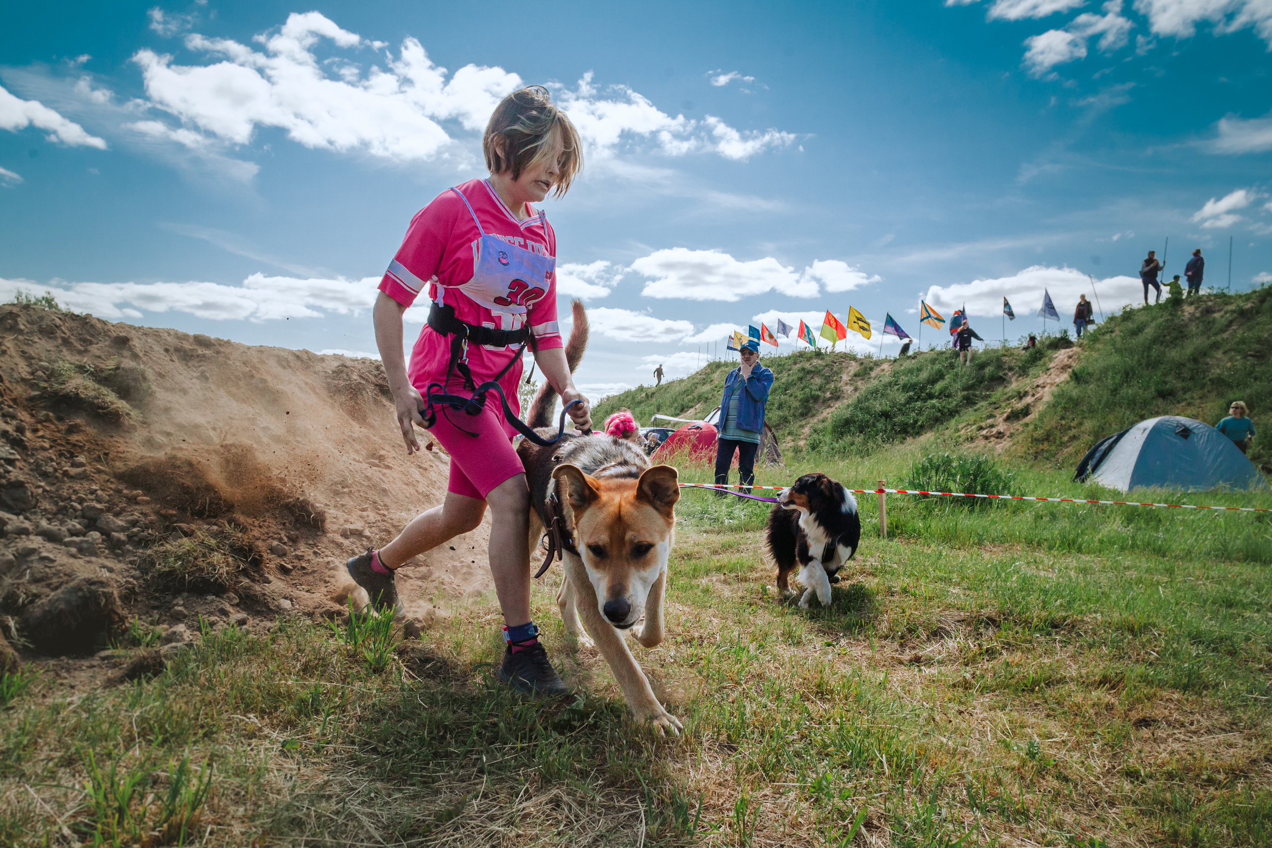 Хвостатый Драйв 11.06.2023. Фотограф-анималист Татьяна Степанова