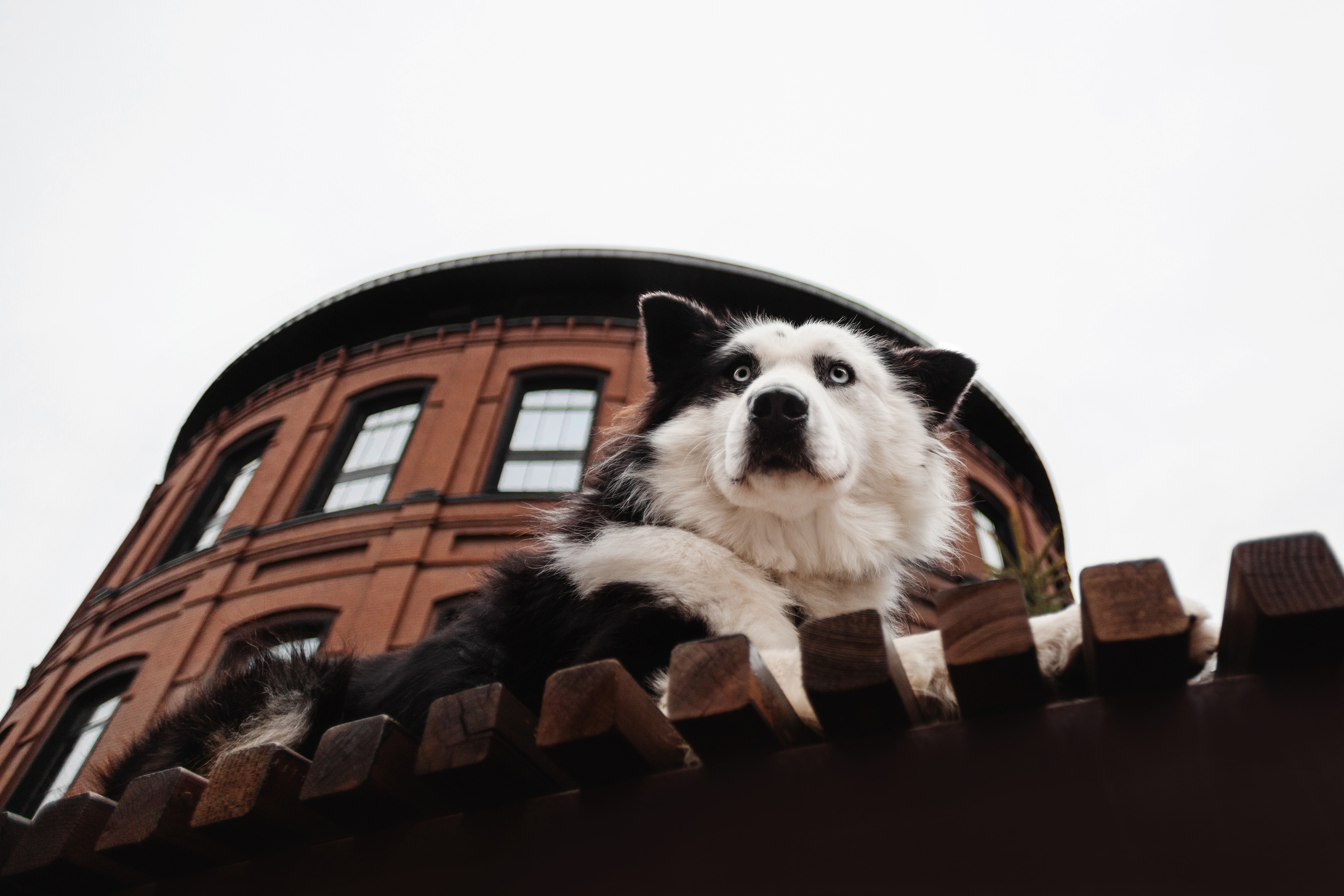 Чех 2022. Фотограф-анималист Татьяна Степанова