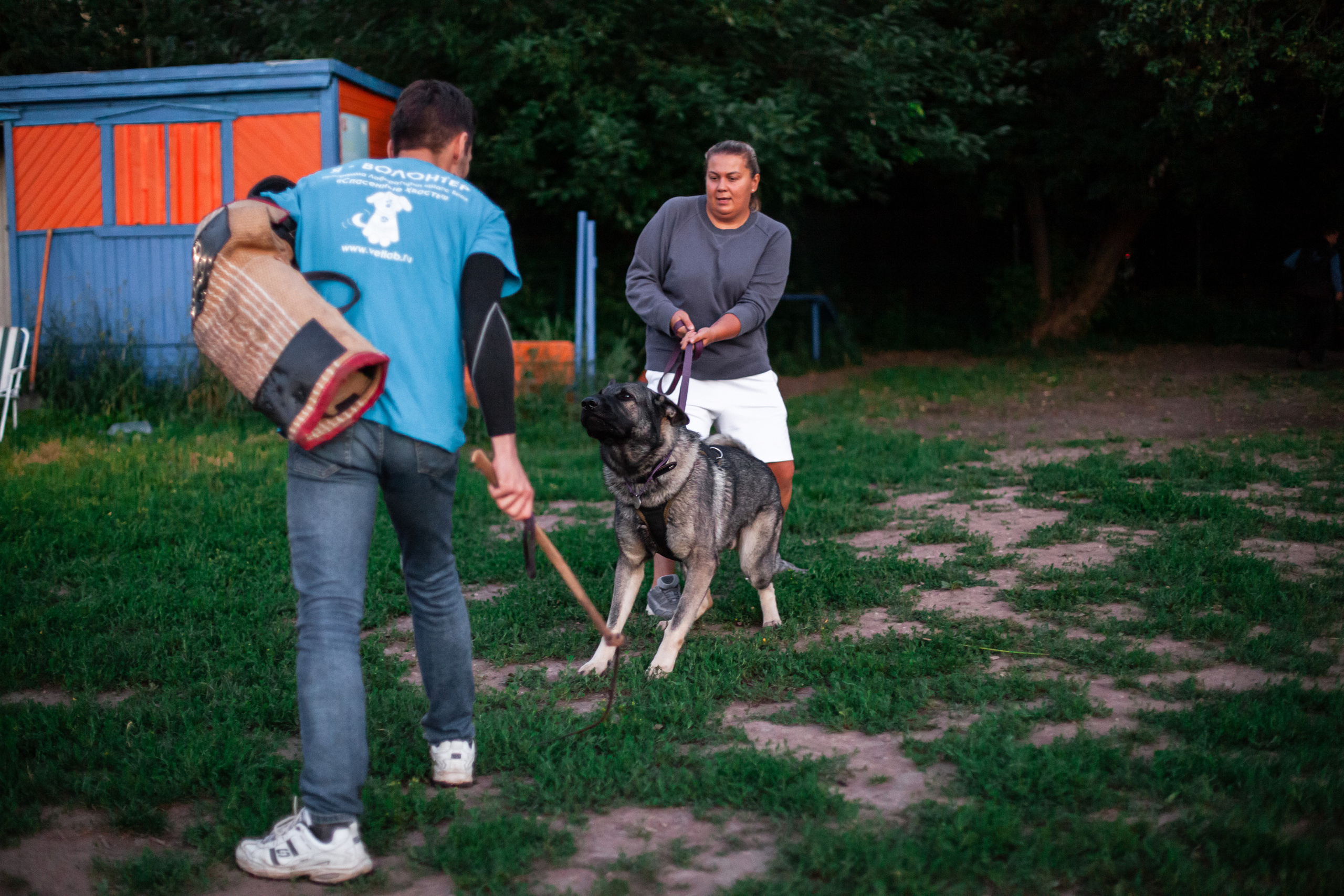 Занятие ЗКС+Выборка 2022. Фотограф-анималист Татьяна Степанова