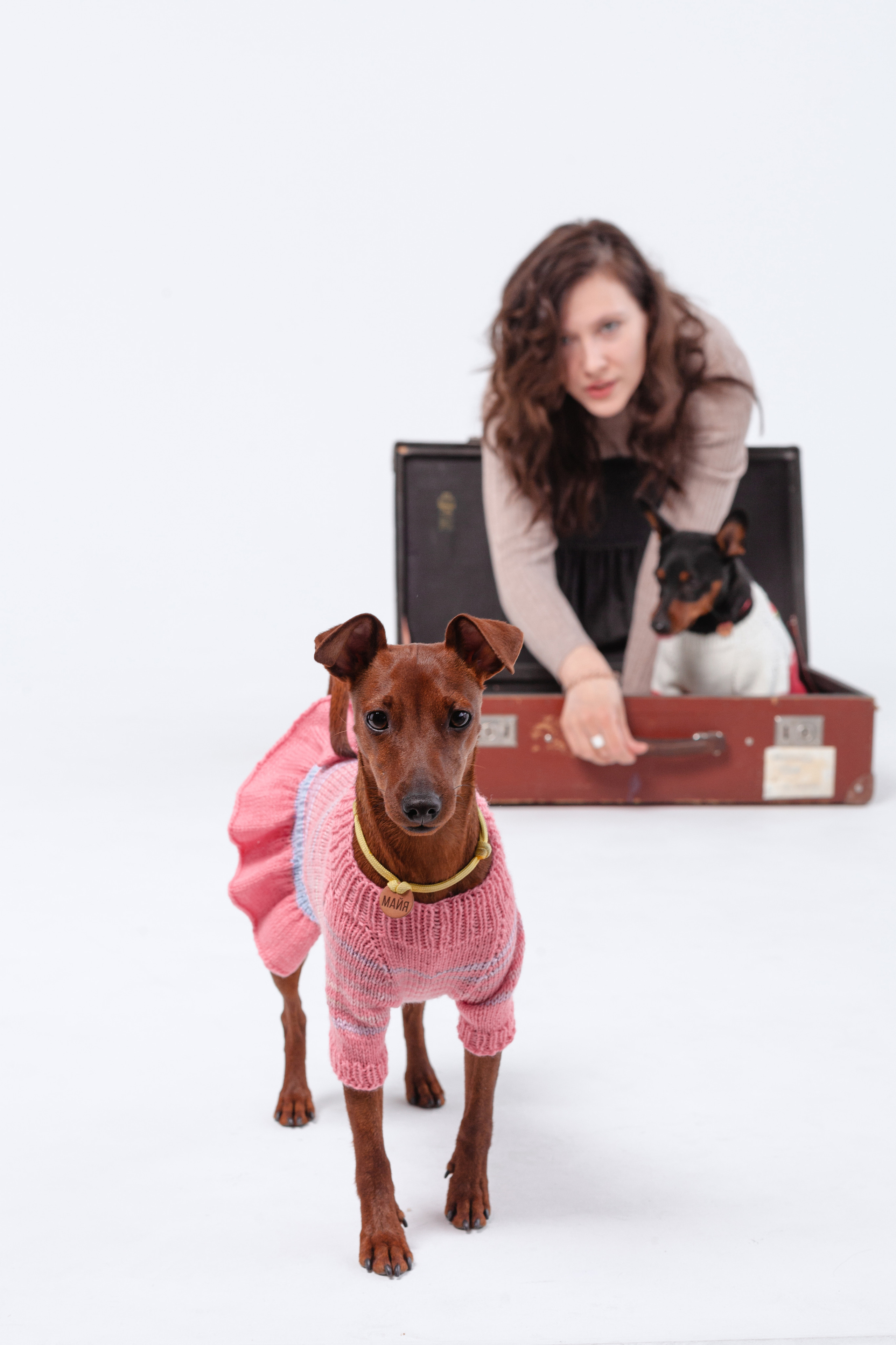 Александра и пинчеры Майя и Джой. Фотограф-анималист Татьяна Степанова