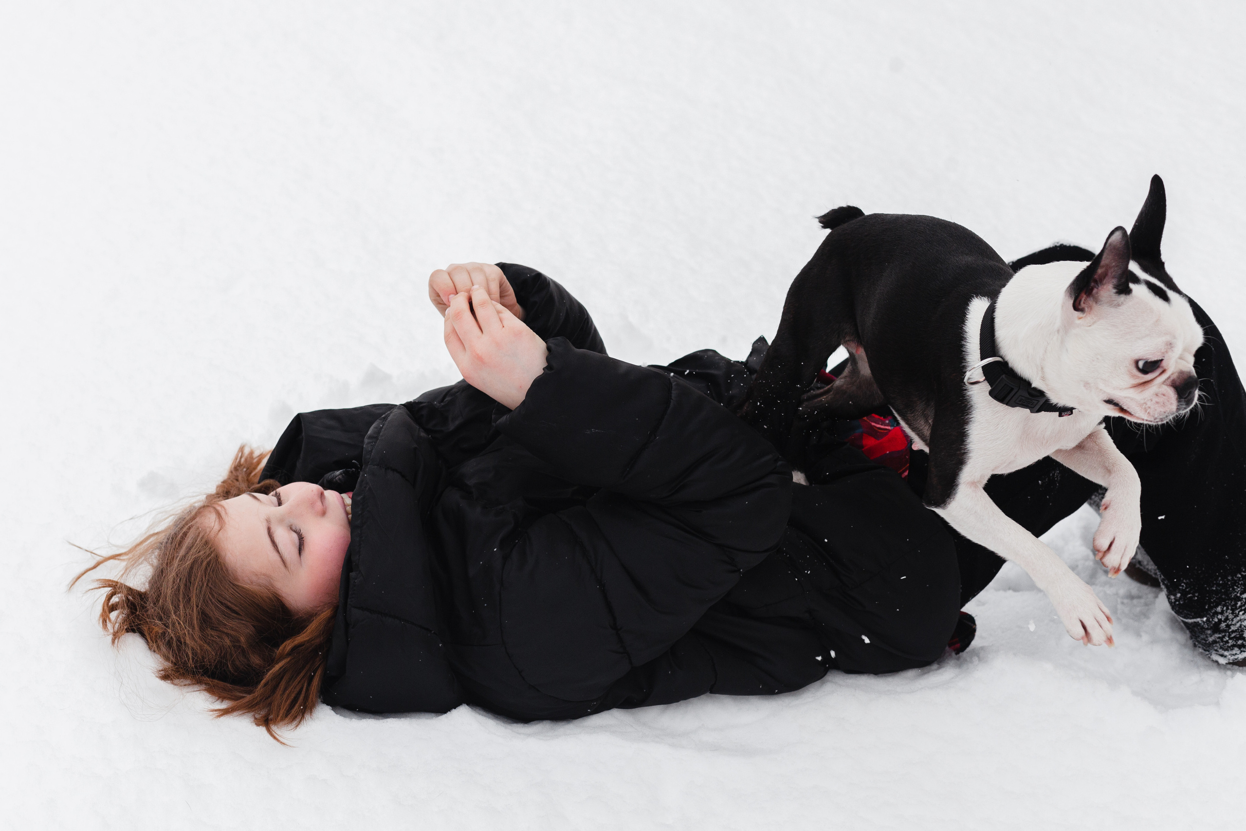 Василиса и Мира Кузнецкий мост. Фотограф-анималист Татьяна Степанова