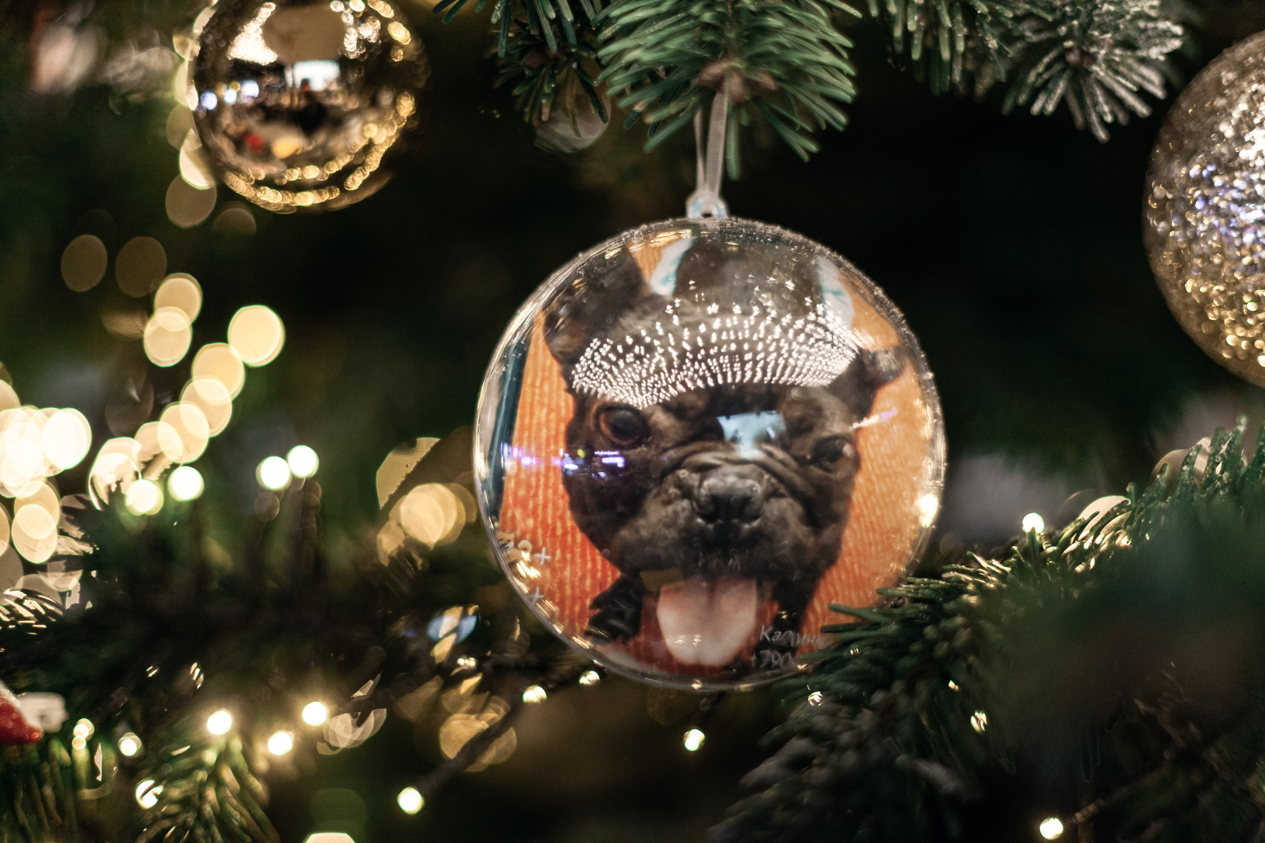 Бульелка 2022. Фотограф-анималист Татьяна Степанова