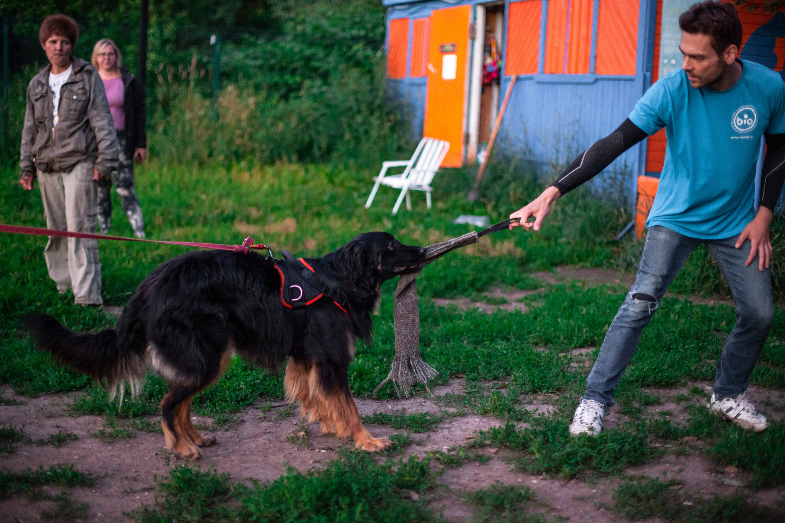 Занятие ЗКС+Выборка 2022. Фотограф-анималист Татьяна Степанова