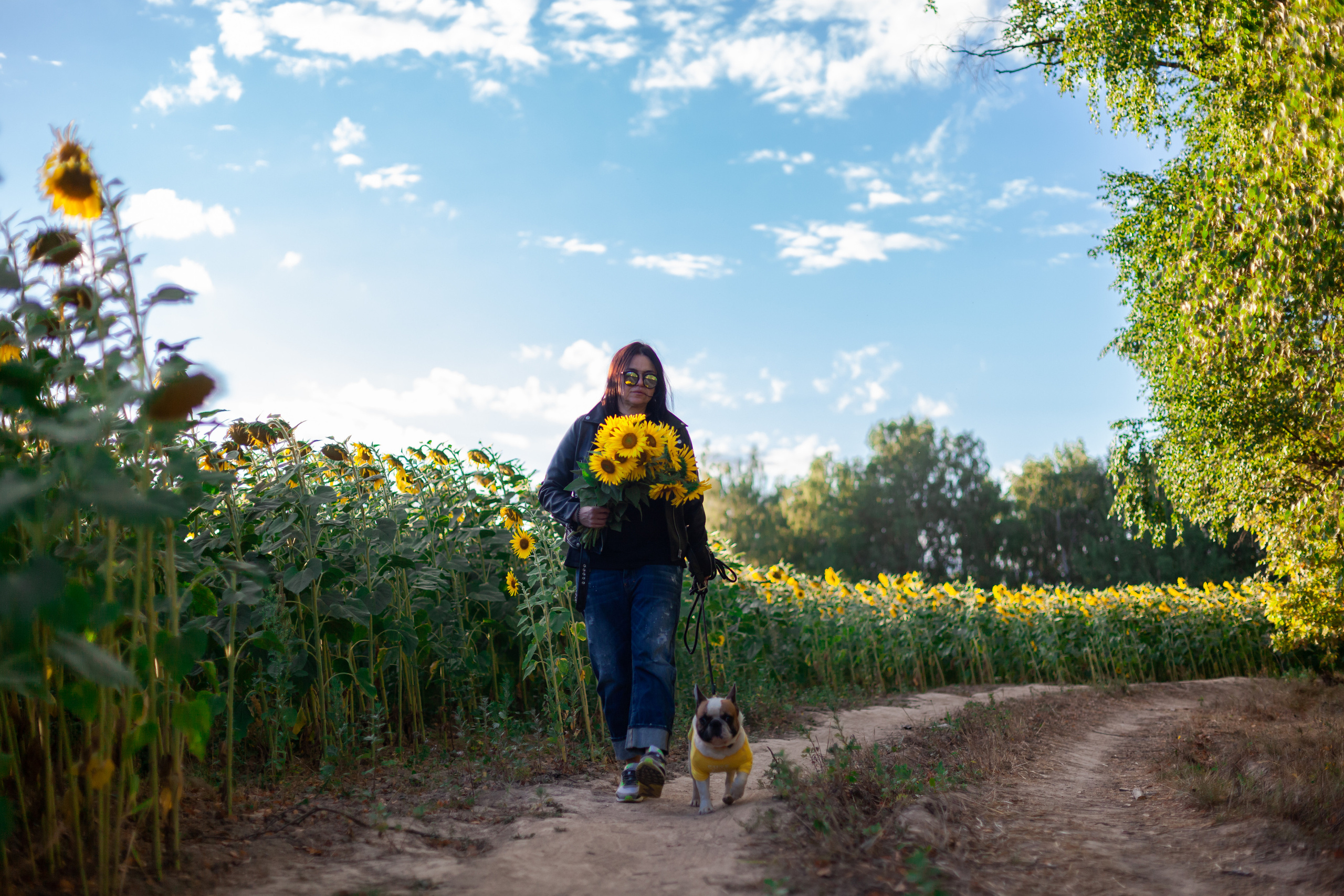 Коломна, стога и подсолнухи. Фотограф-анималист Татьяна Степанова