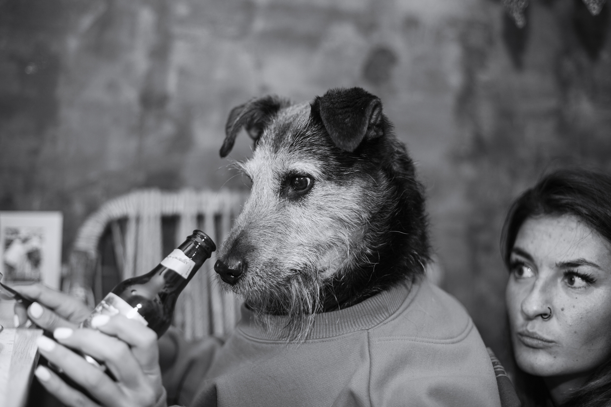 Лиза и Бренда. Фотограф-анималист Татьяна Степанова