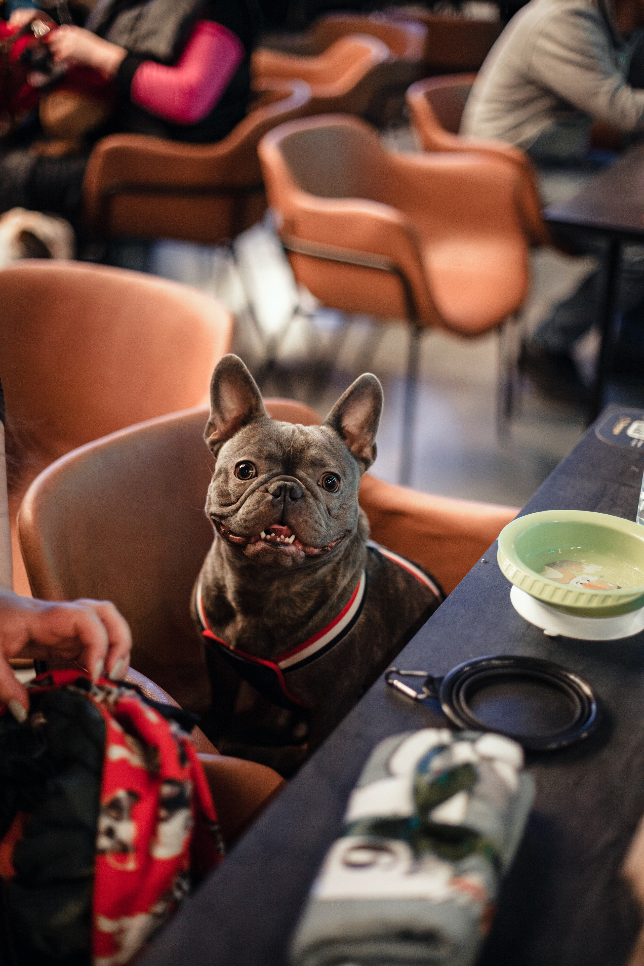 Бульелка 2022. Фотограф-анималист Татьяна Степанова