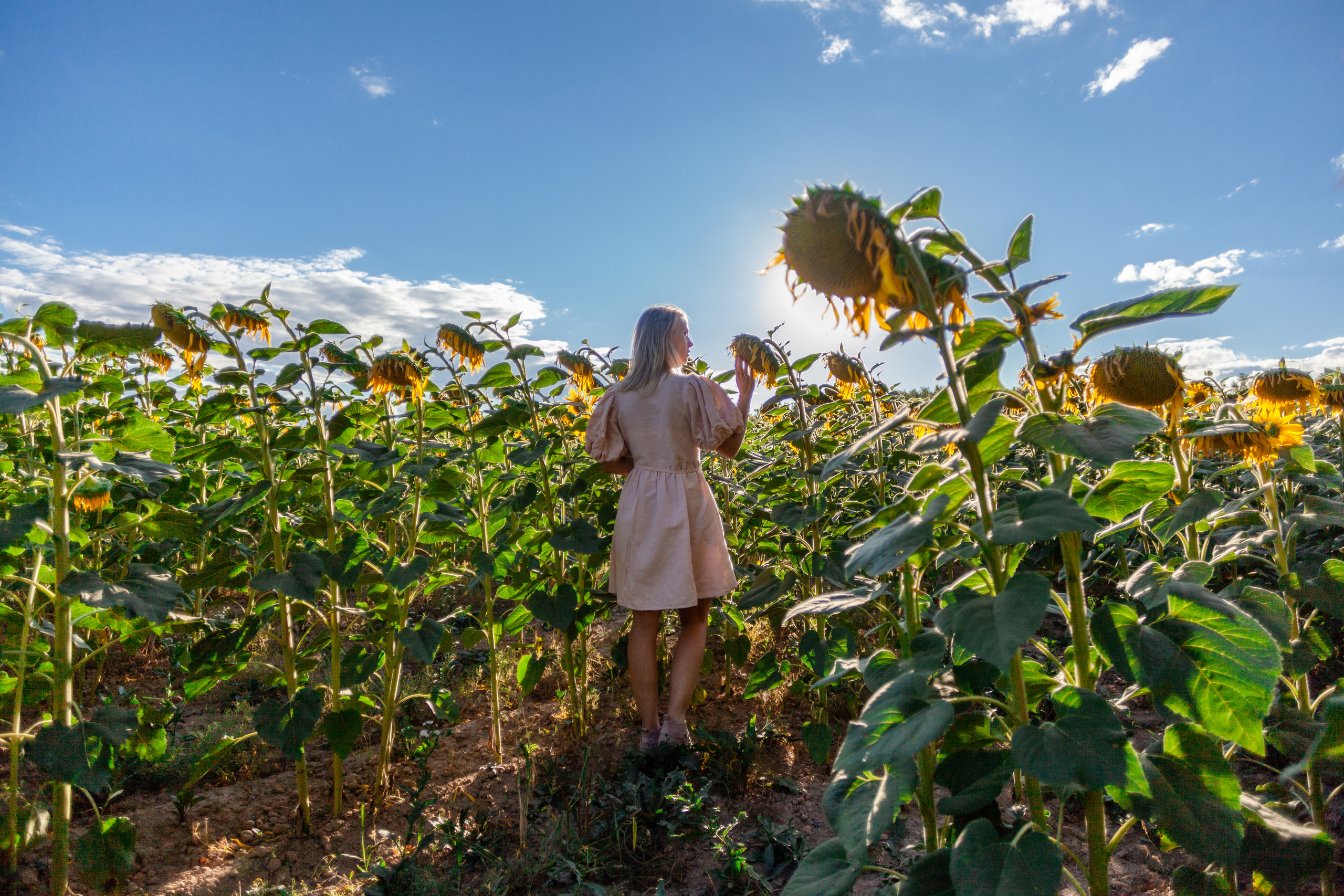 Коломна, стога и подсолнухи. Фотограф-анималист Татьяна Степанова