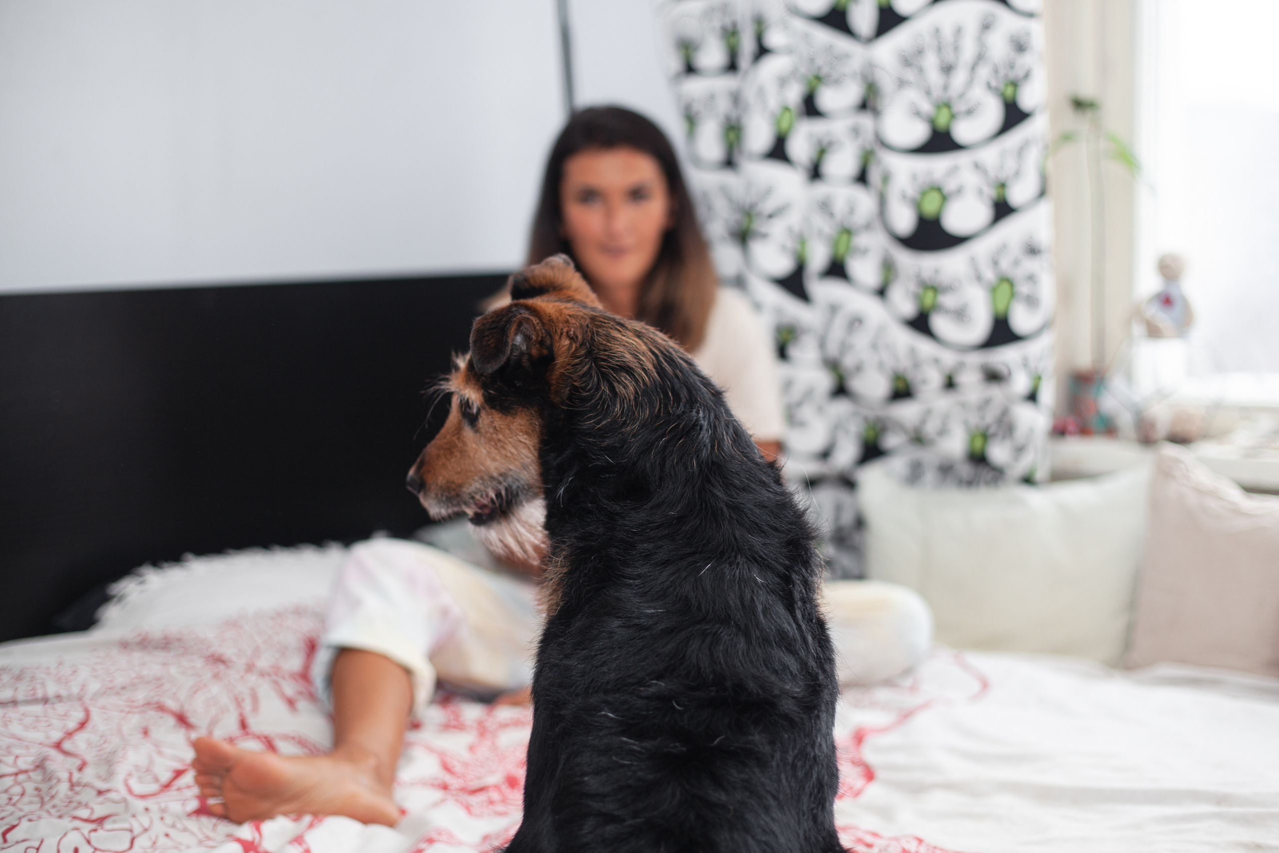 Лиза и Бренда. Фотограф-анималист Татьяна Степанова