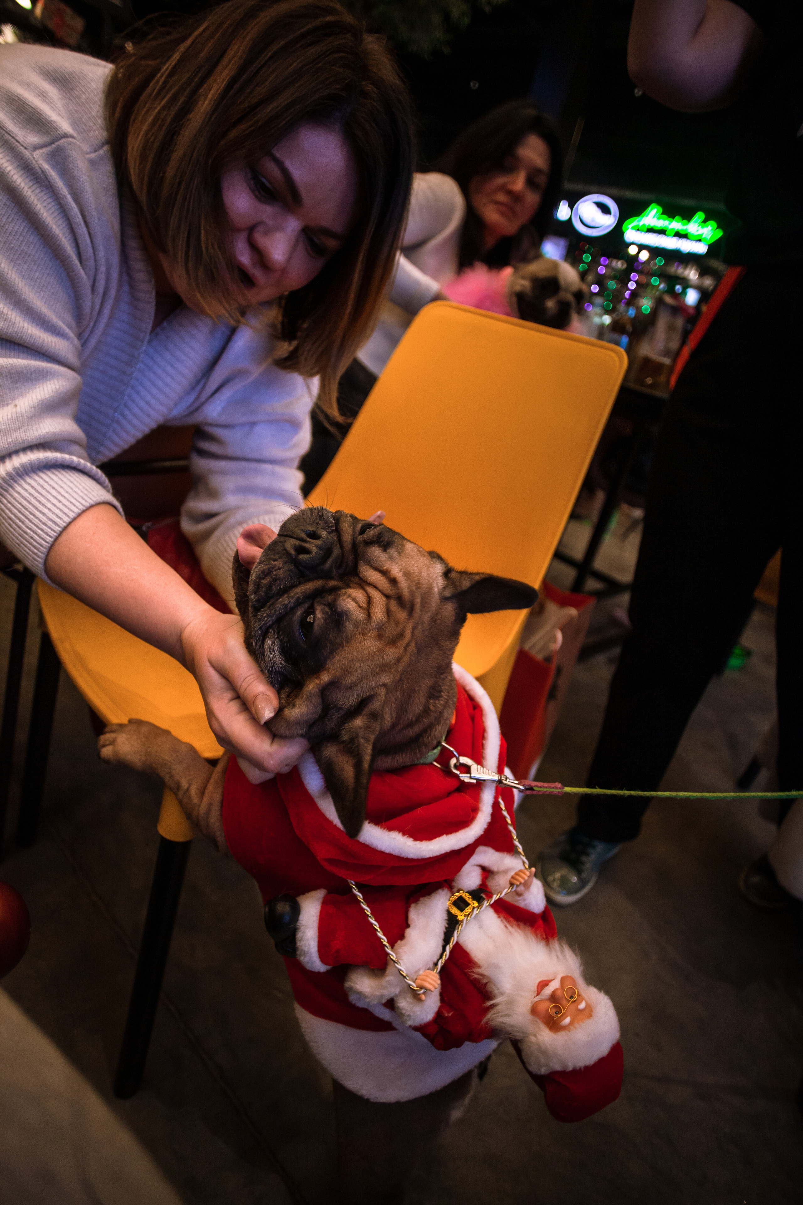 Бульелка 2022. Фотограф-анималист Татьяна Степанова